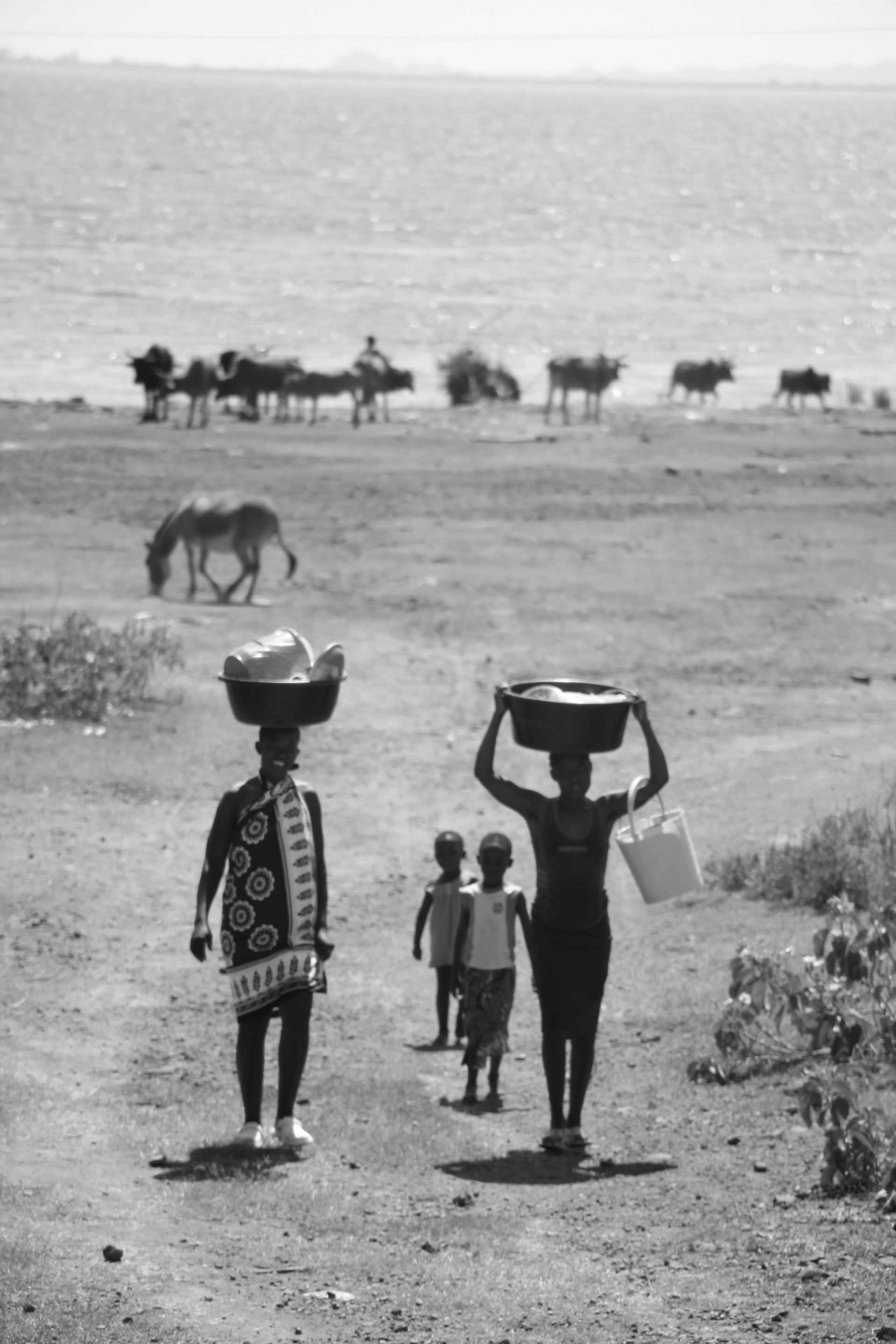 A group of people walking down a dirt road