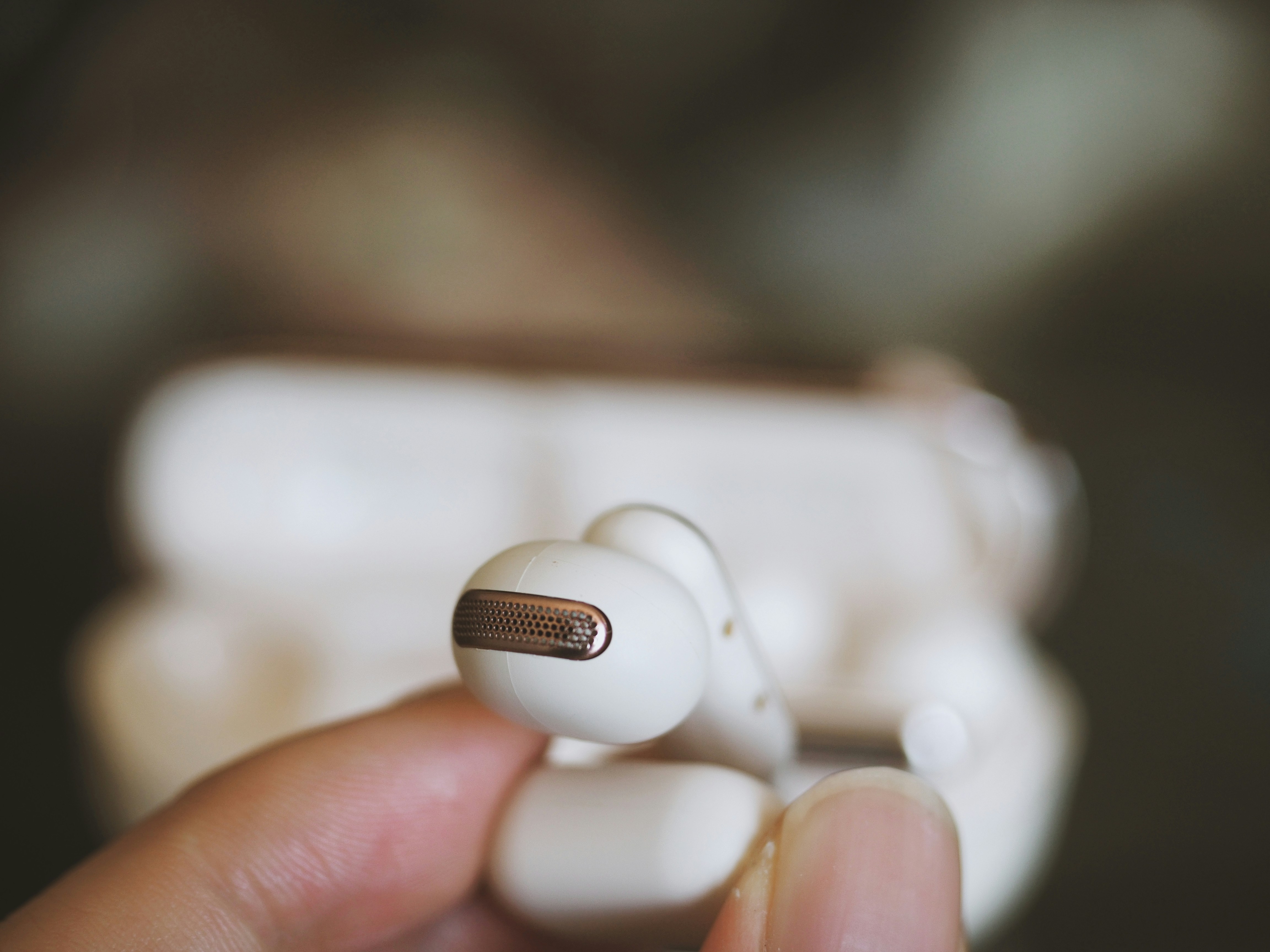 Photo by archerallstars