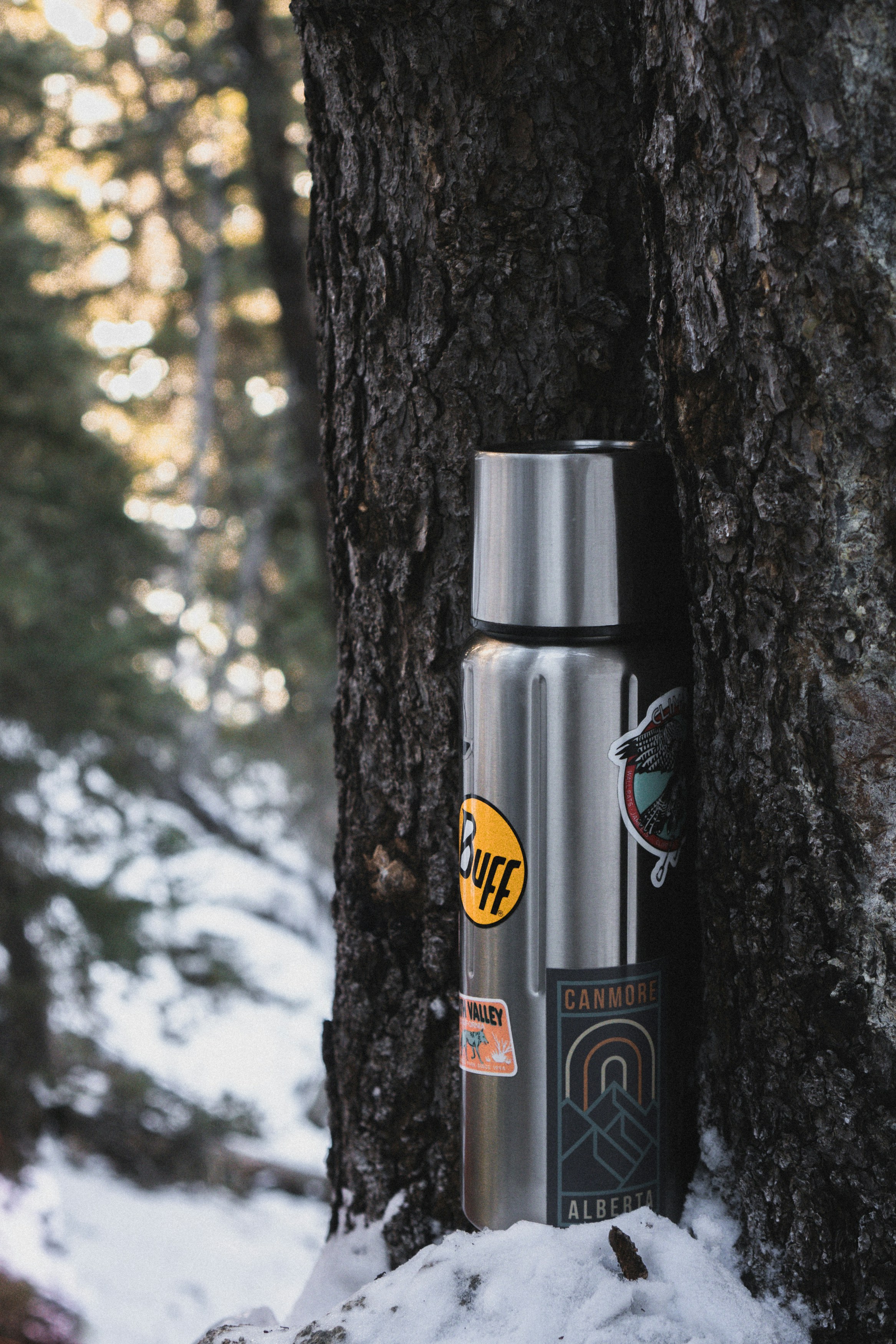 A water bottle sitting next to a tree in the snow