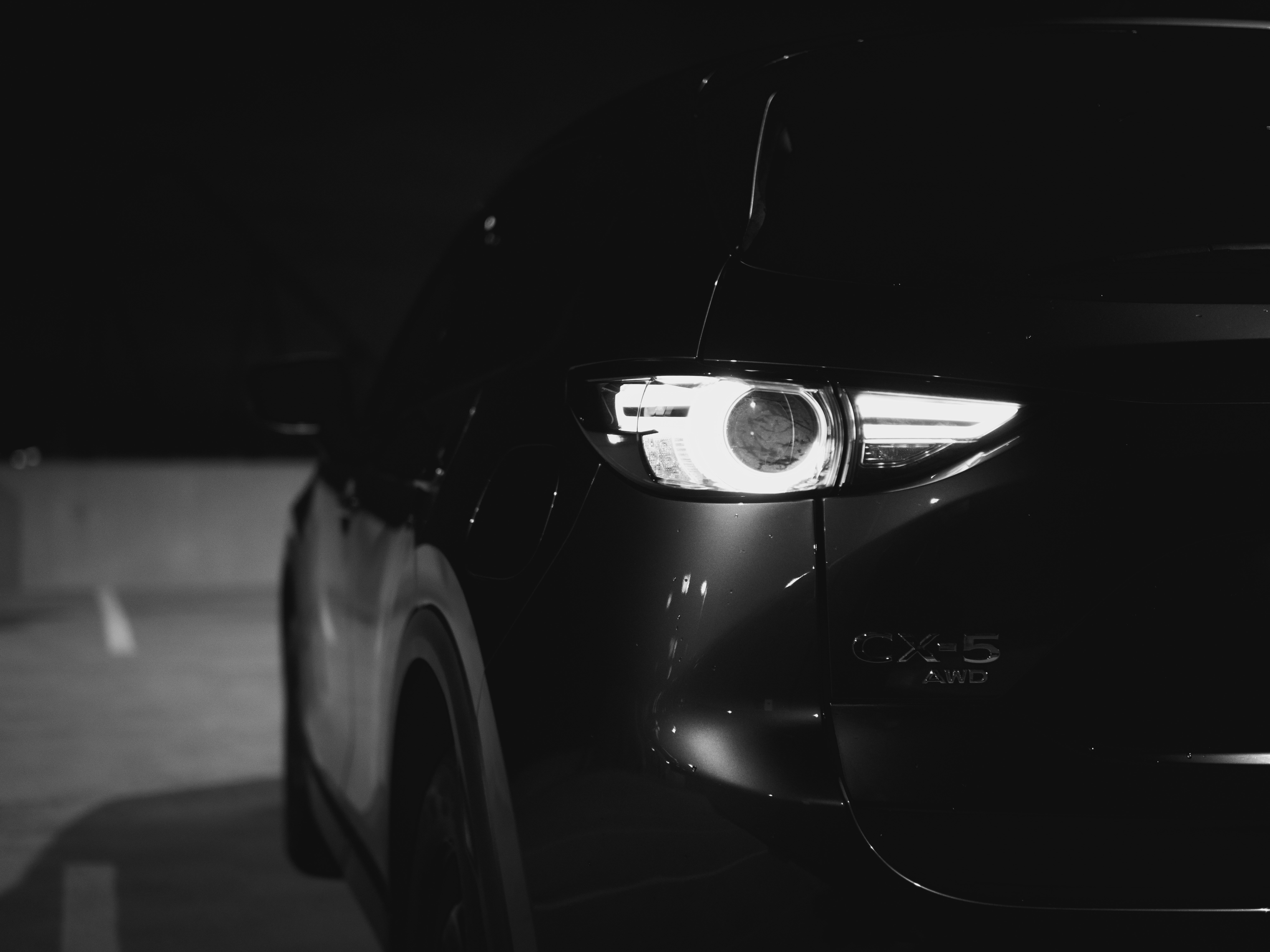 Photo by swollfadder