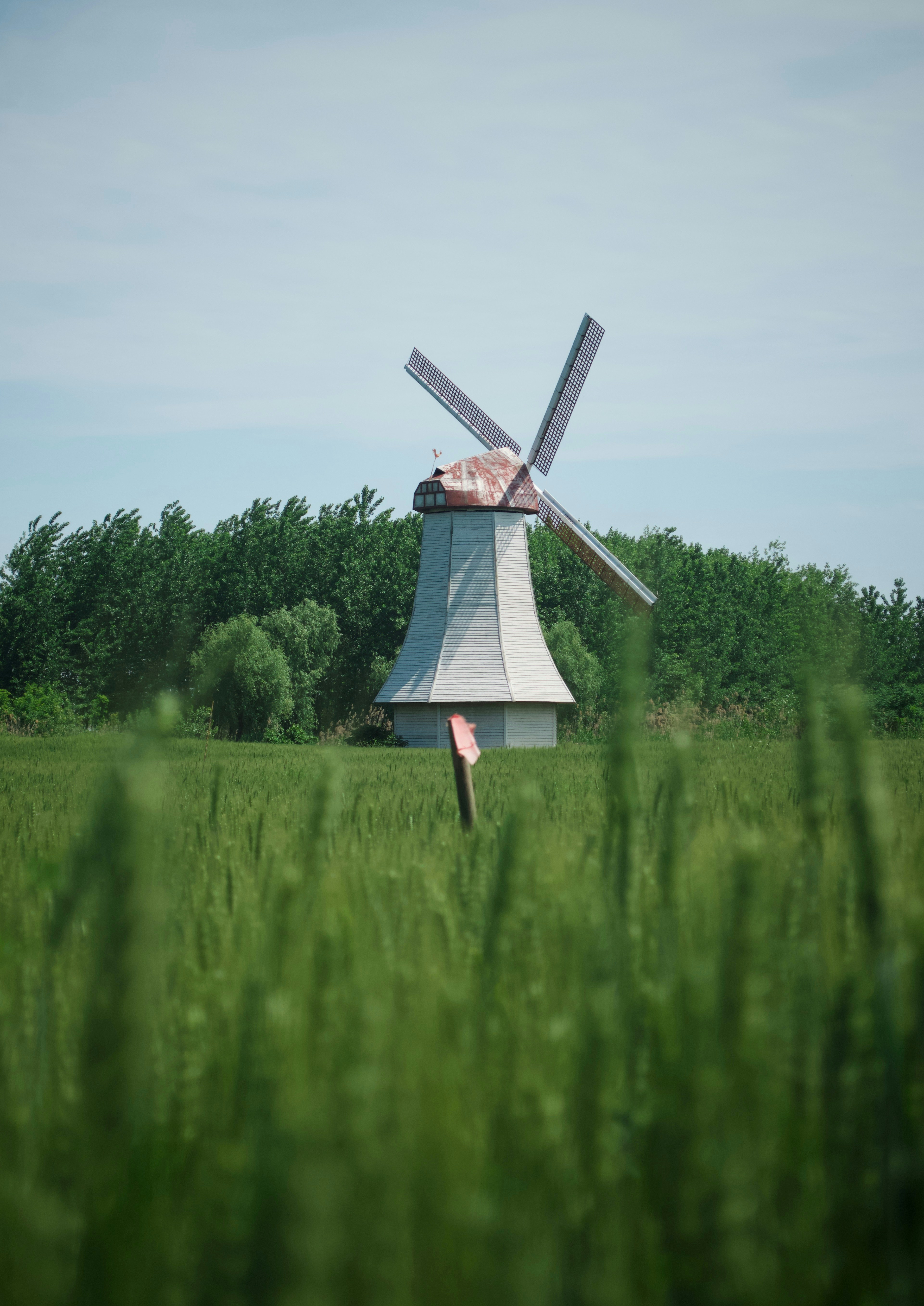 A windmill in the middle of a grassy field