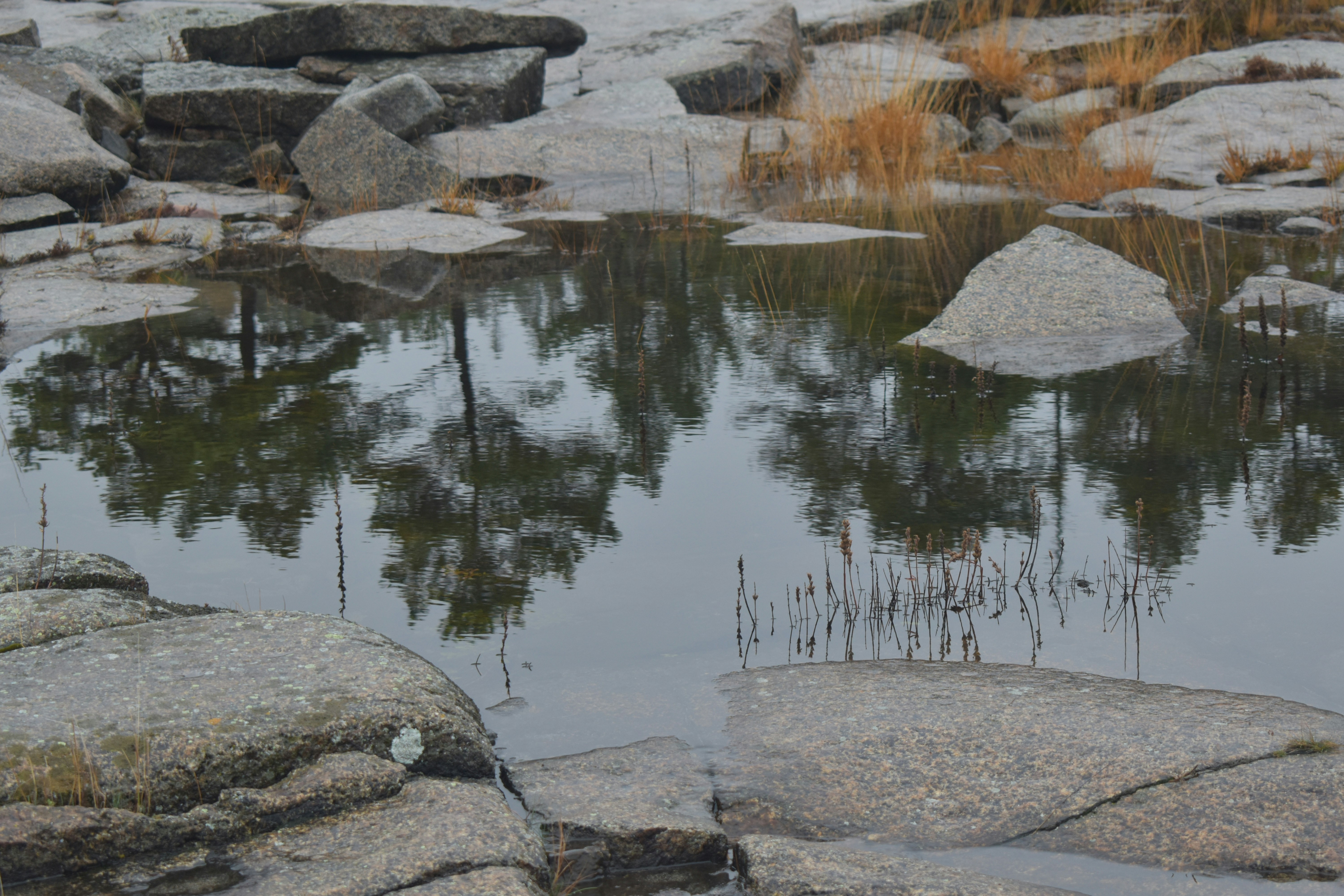 Photo by niloufarmirhadi