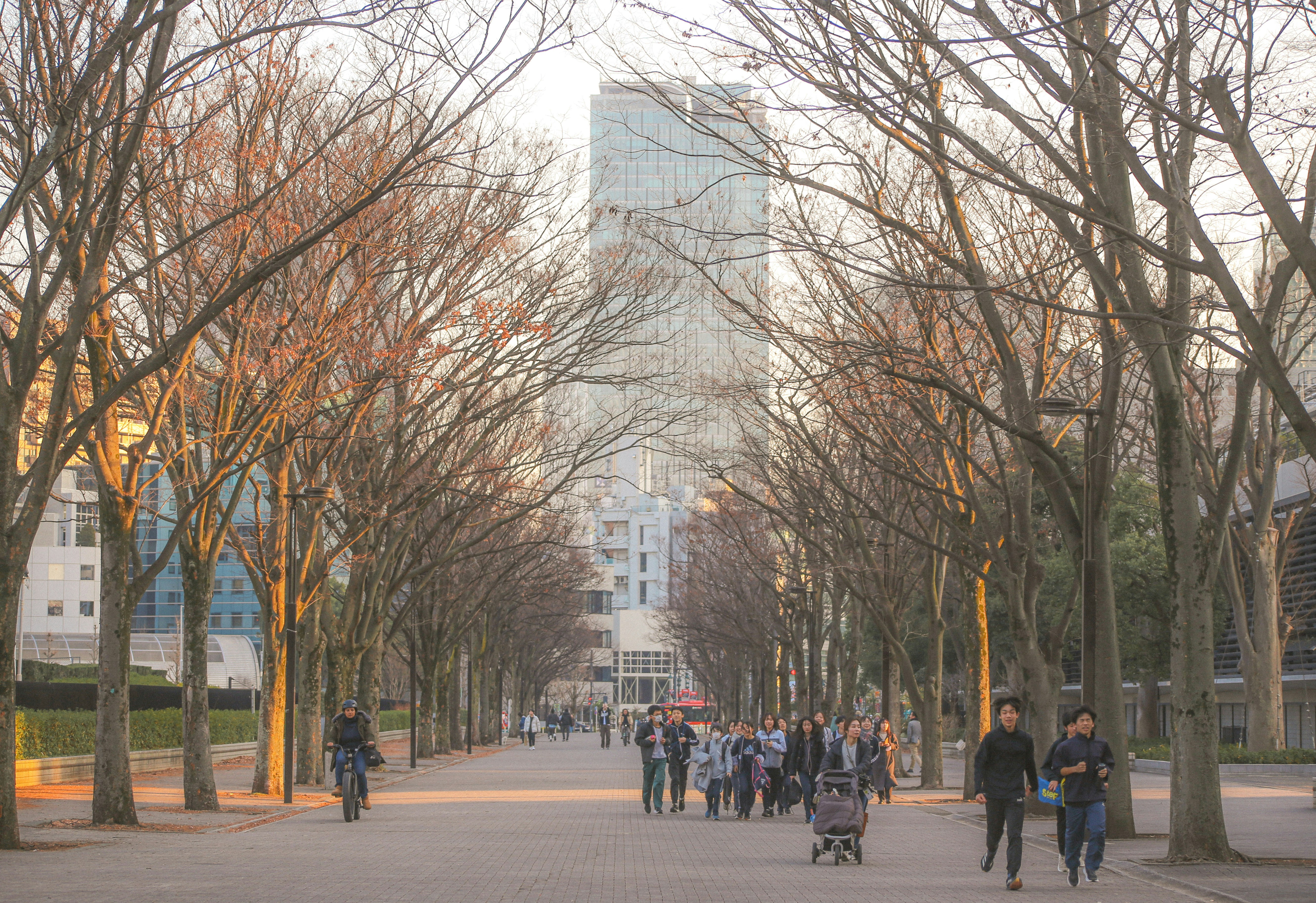 A group of people walking down a tree lined street