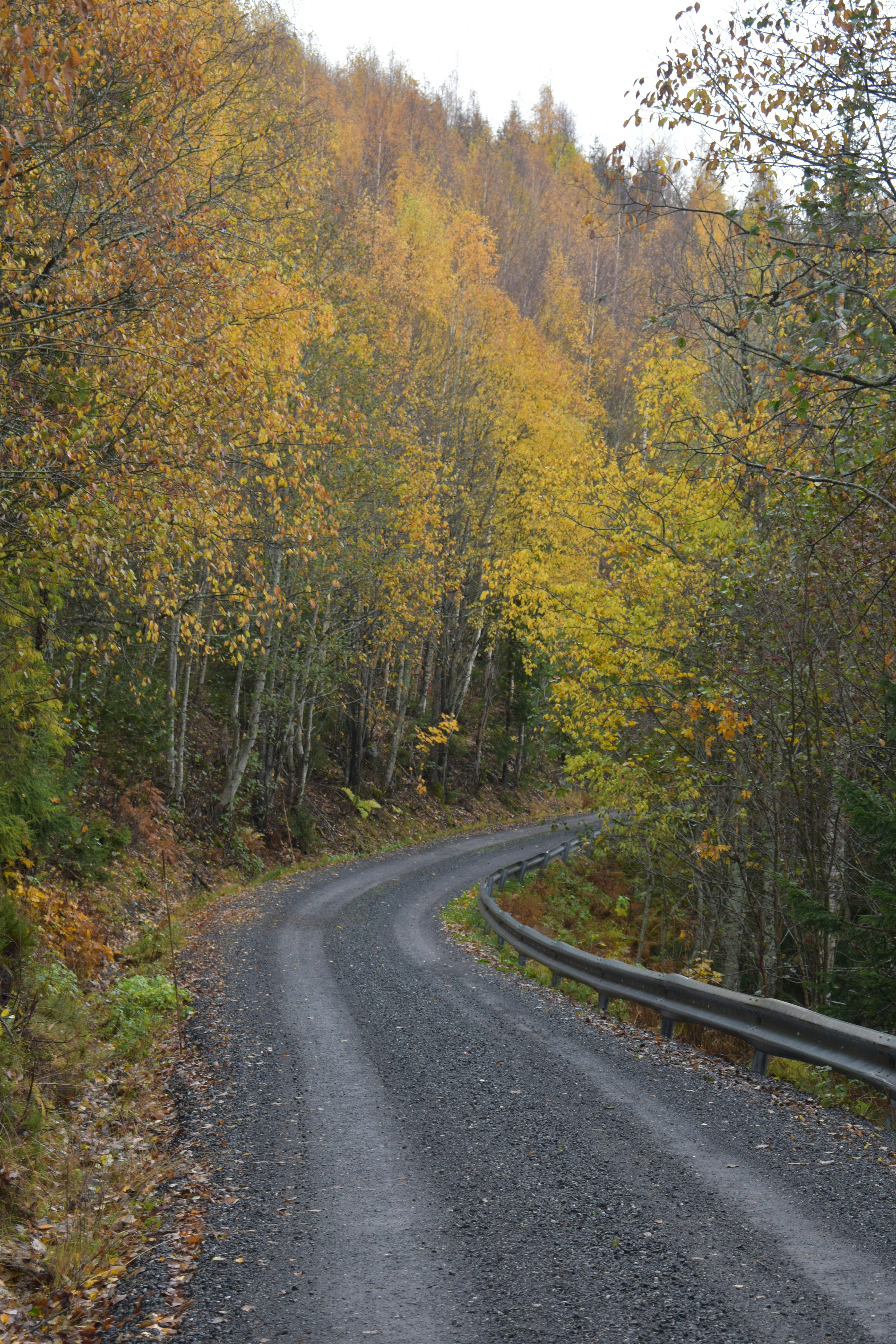 Photo by niloufarmirhadi