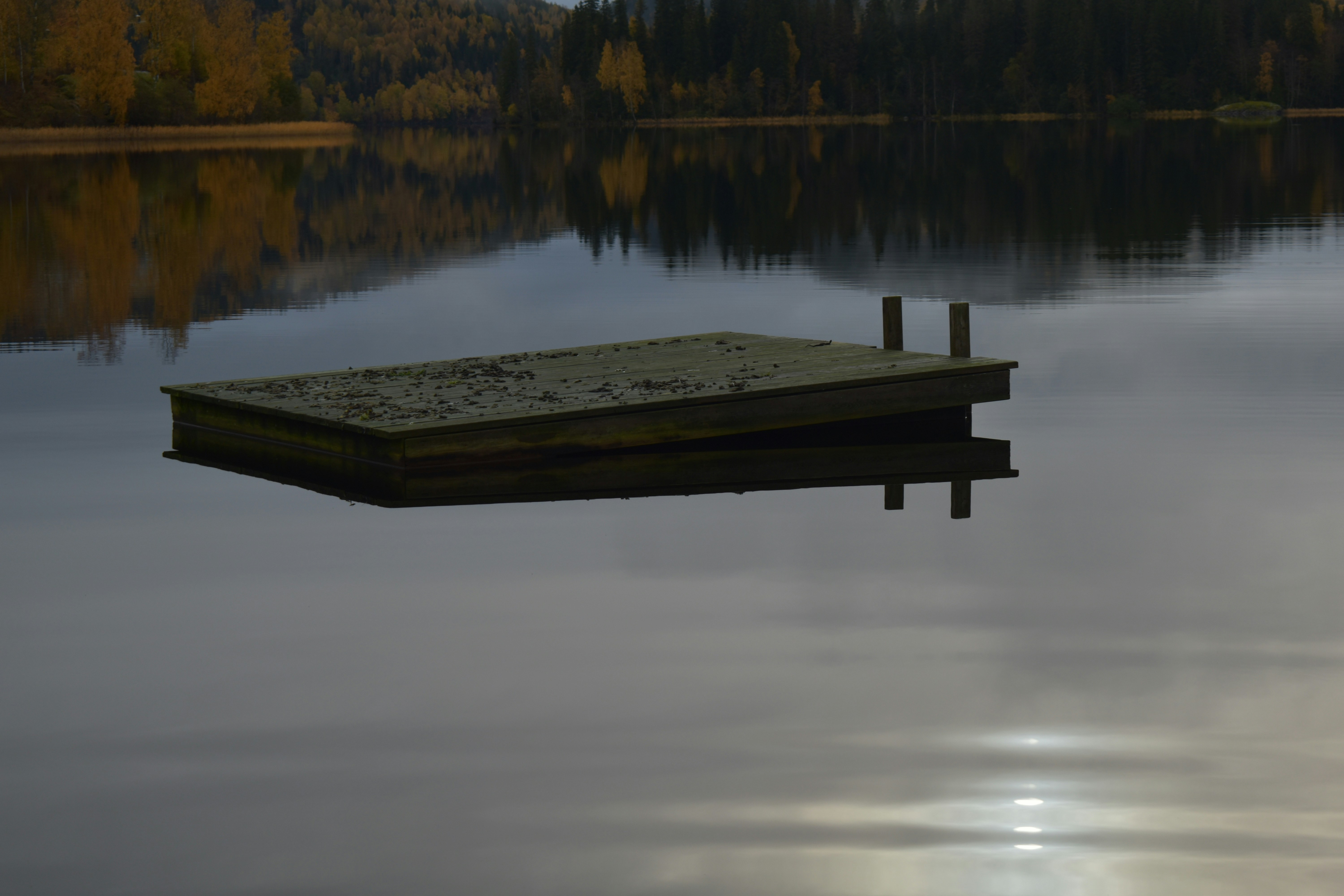 Photo by niloufarmirhadi