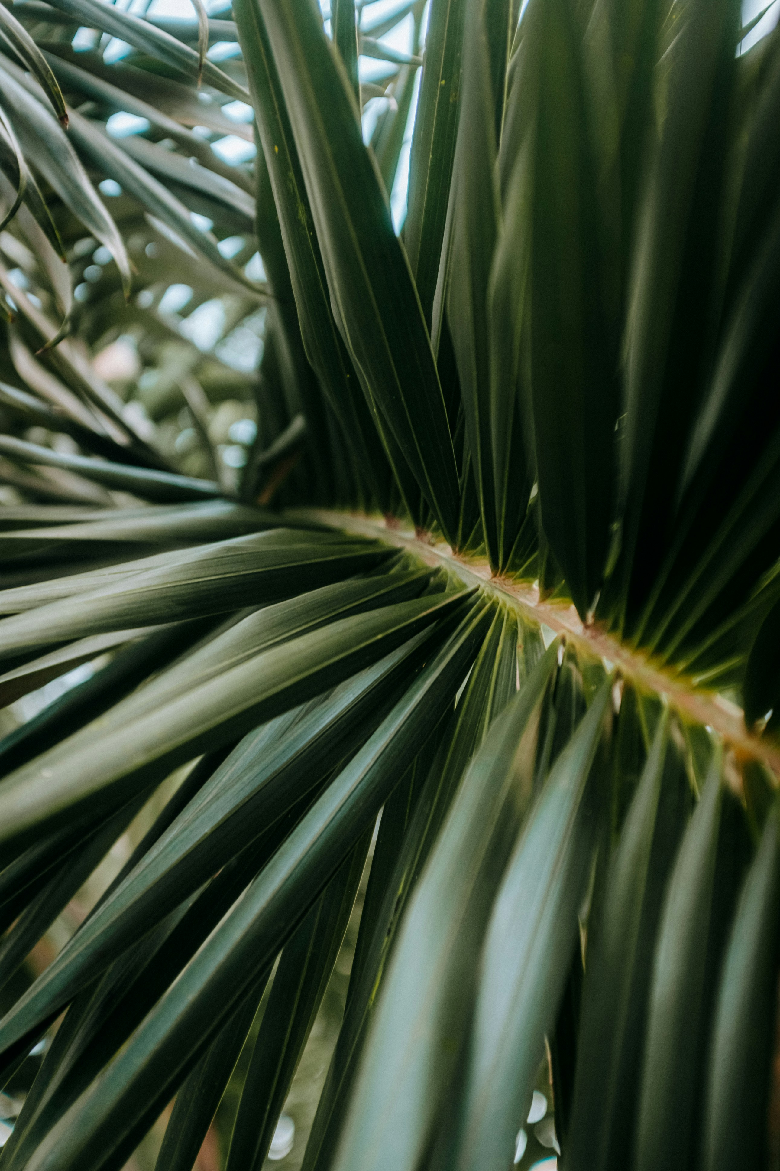 Photo by keithtanman