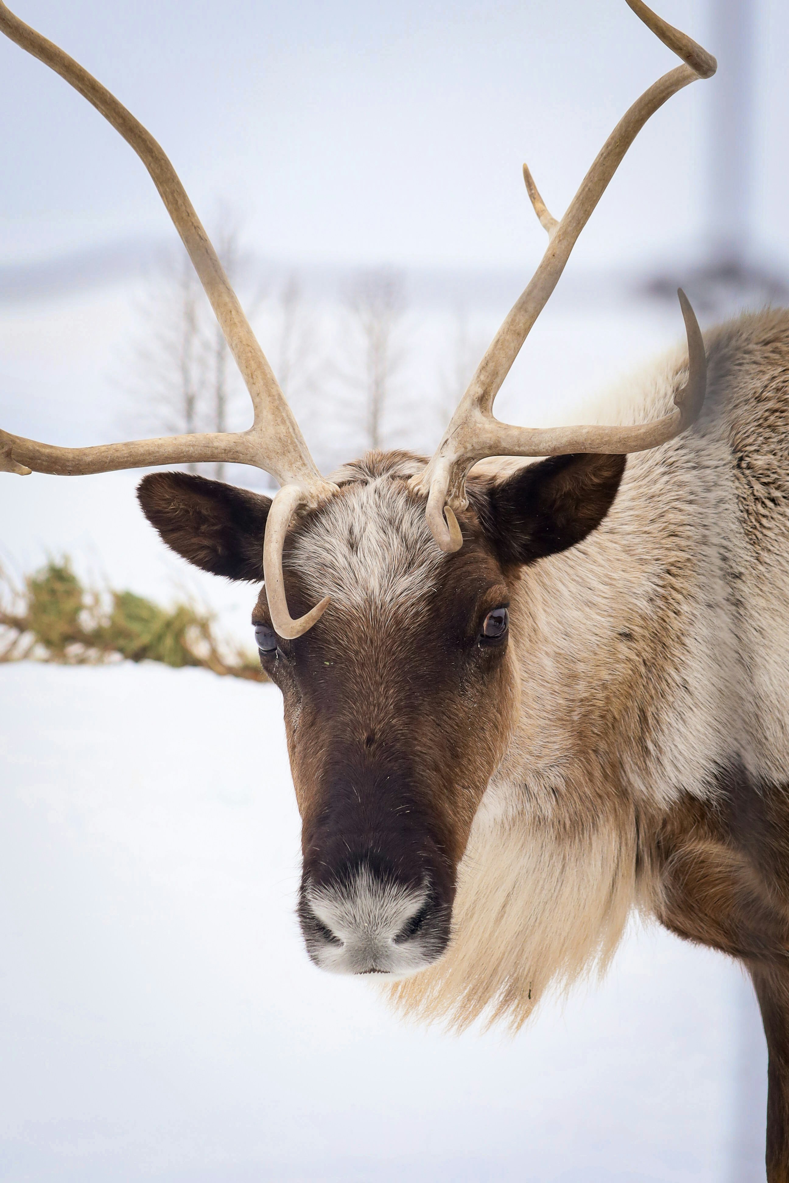 Photo by bonniekdesign