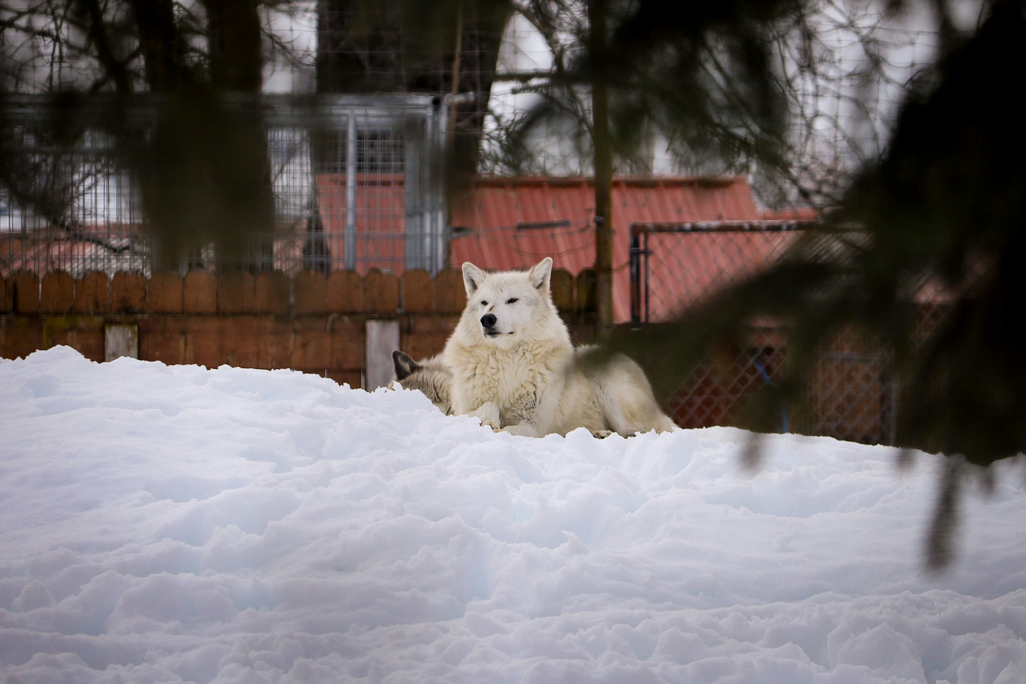 Photo by bonniekdesign