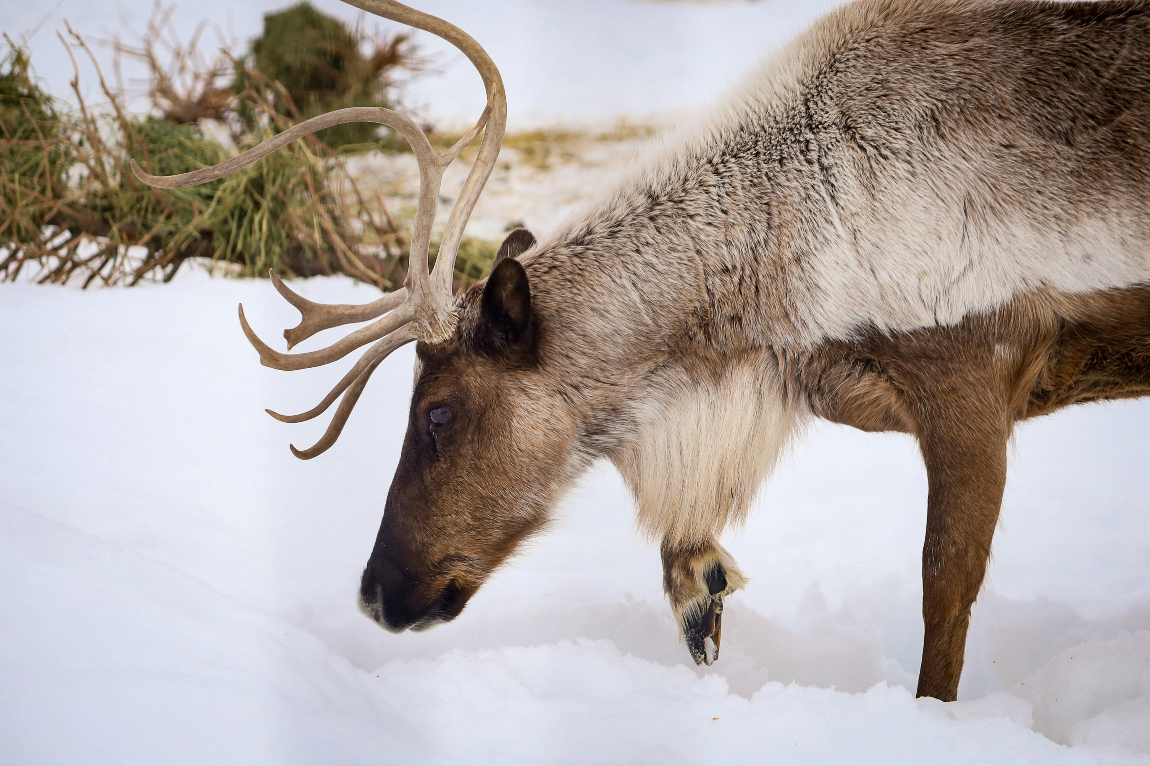 Photo by bonniekdesign