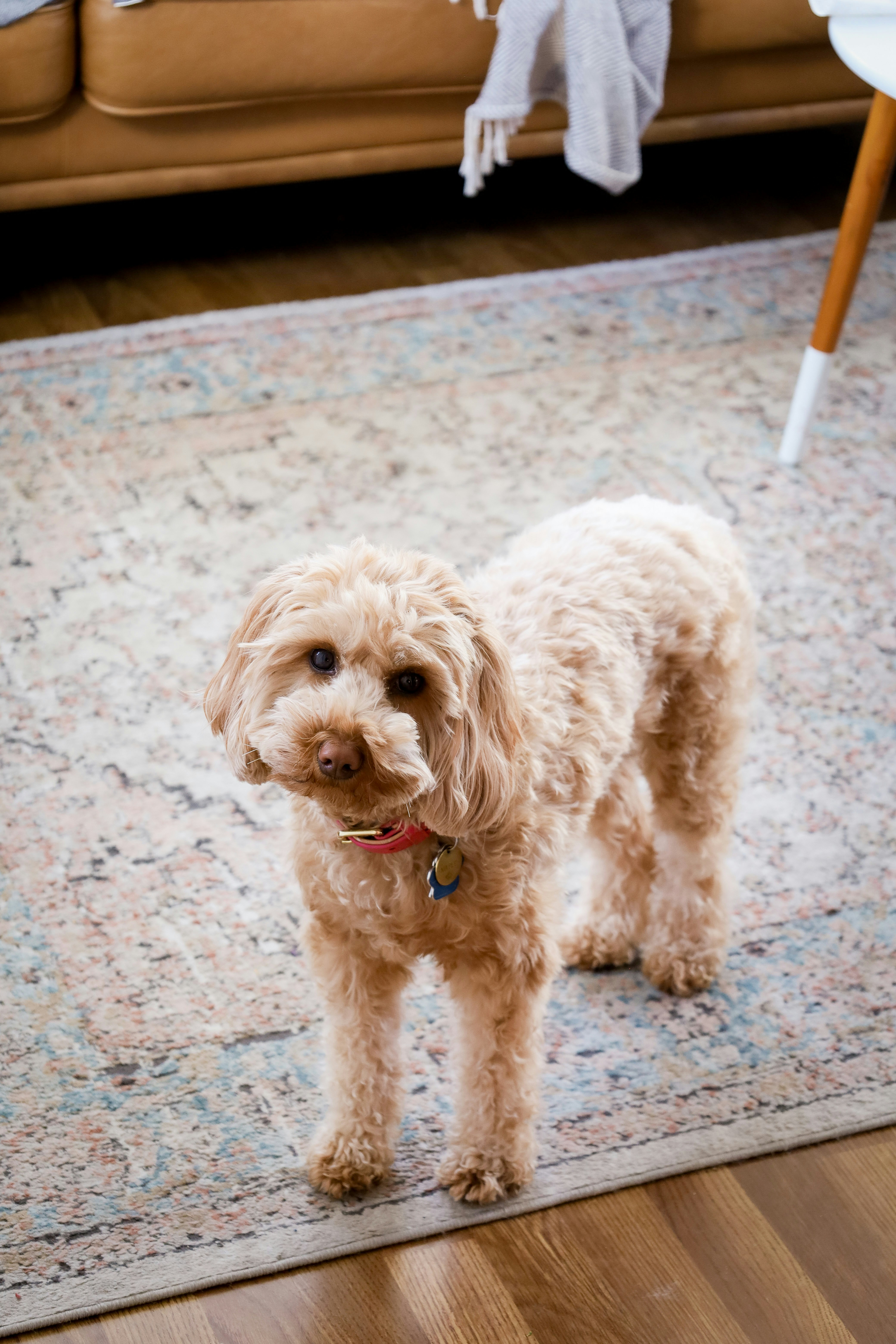 Photo by bonniekdesign