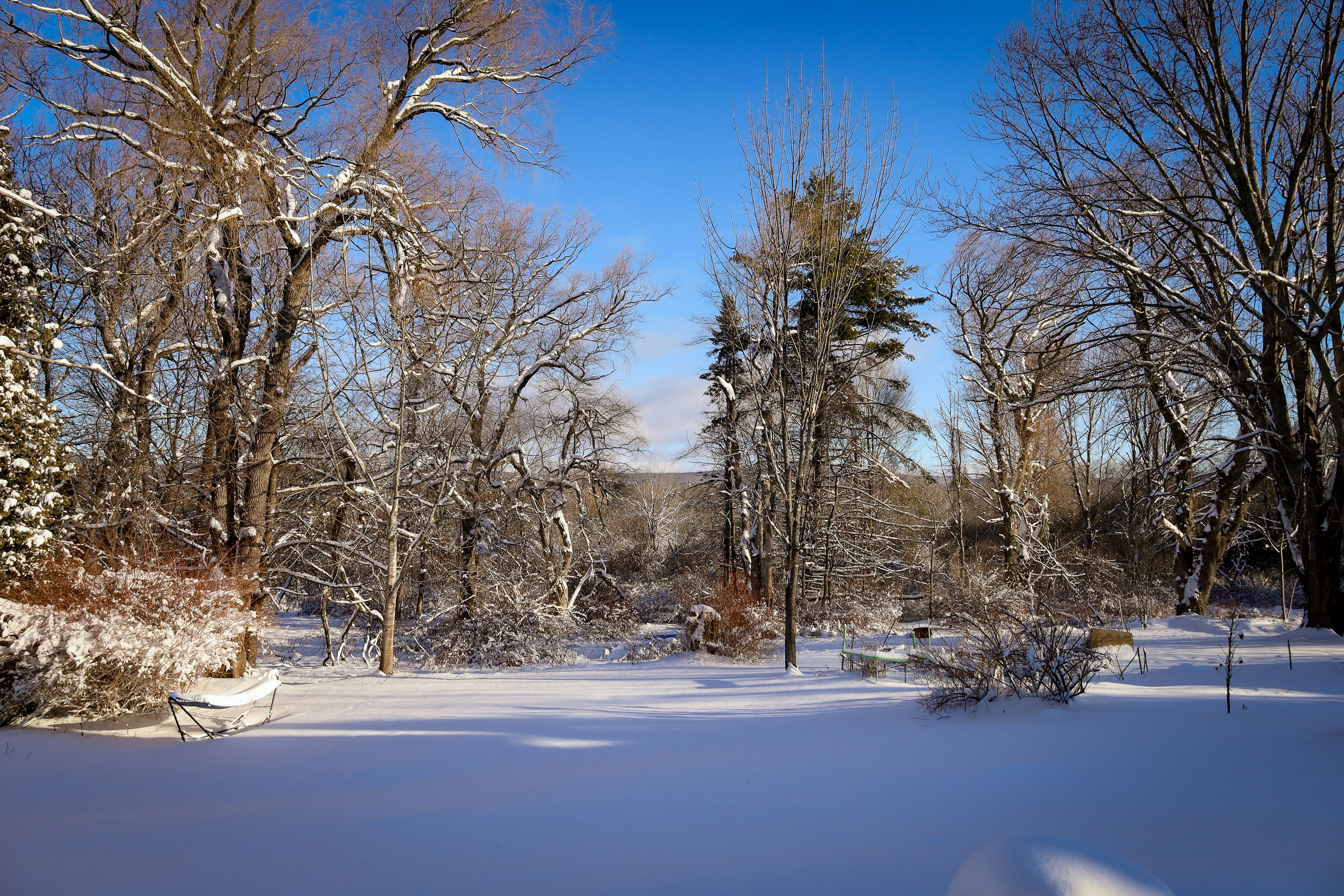 Photo by bonniekdesign