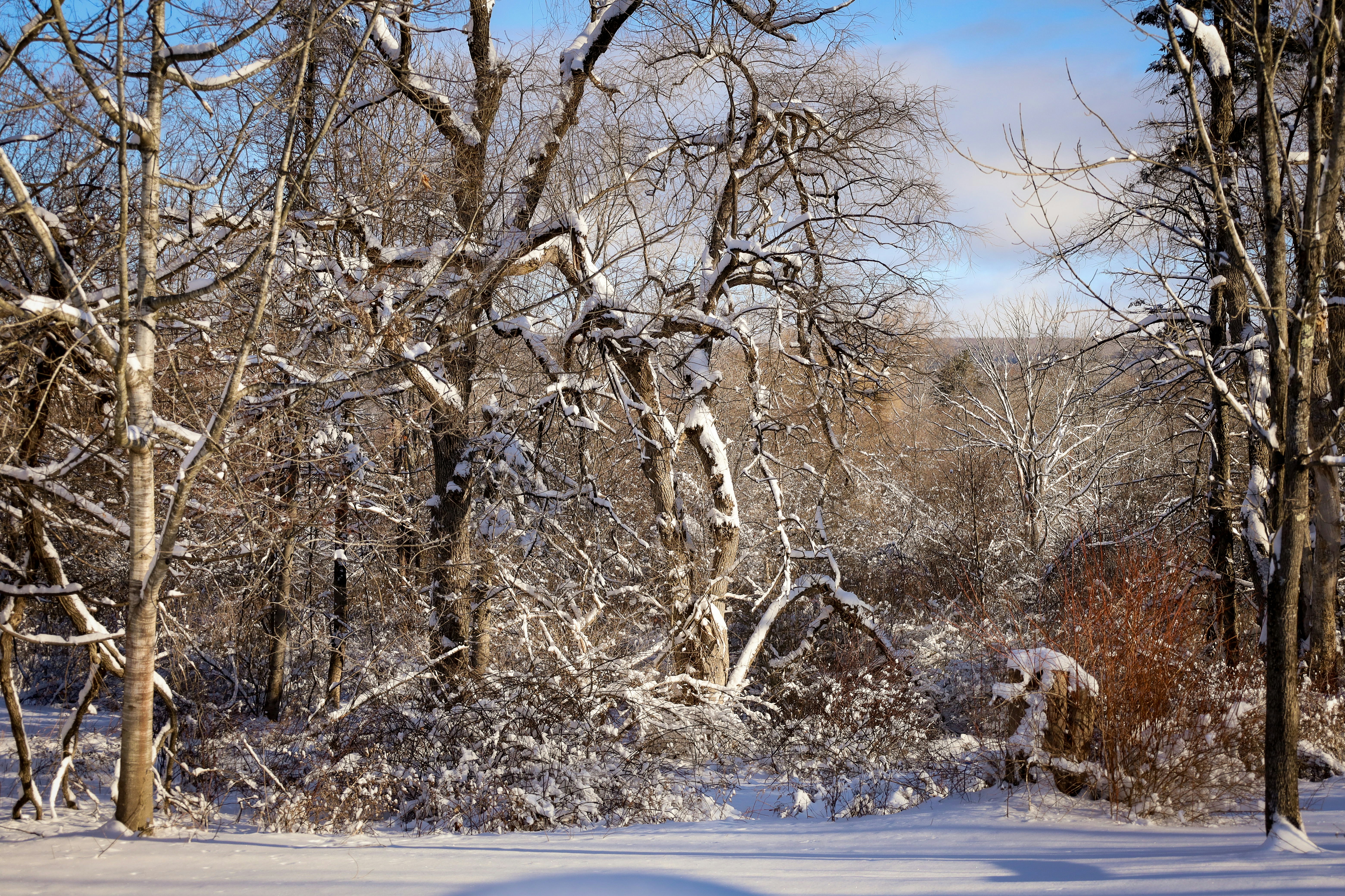 Photo by bonniekdesign