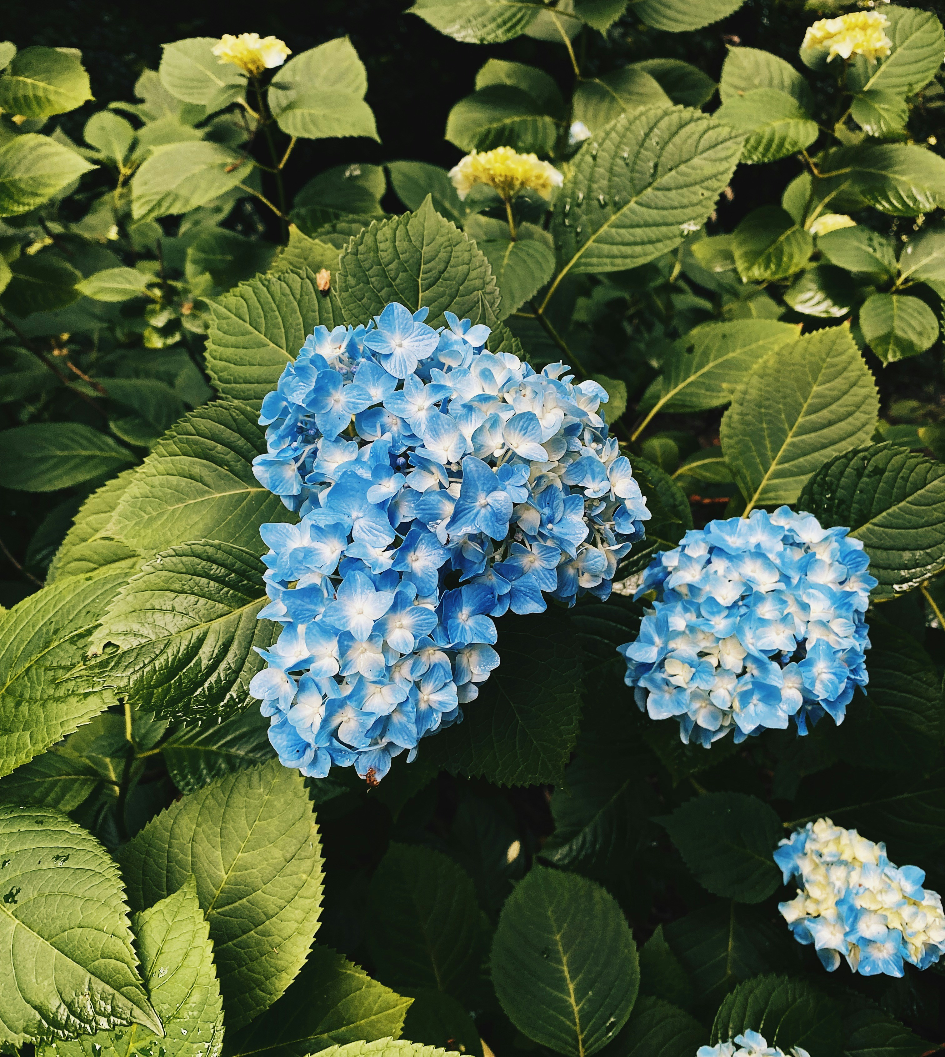 Photo by whatislivdoing_