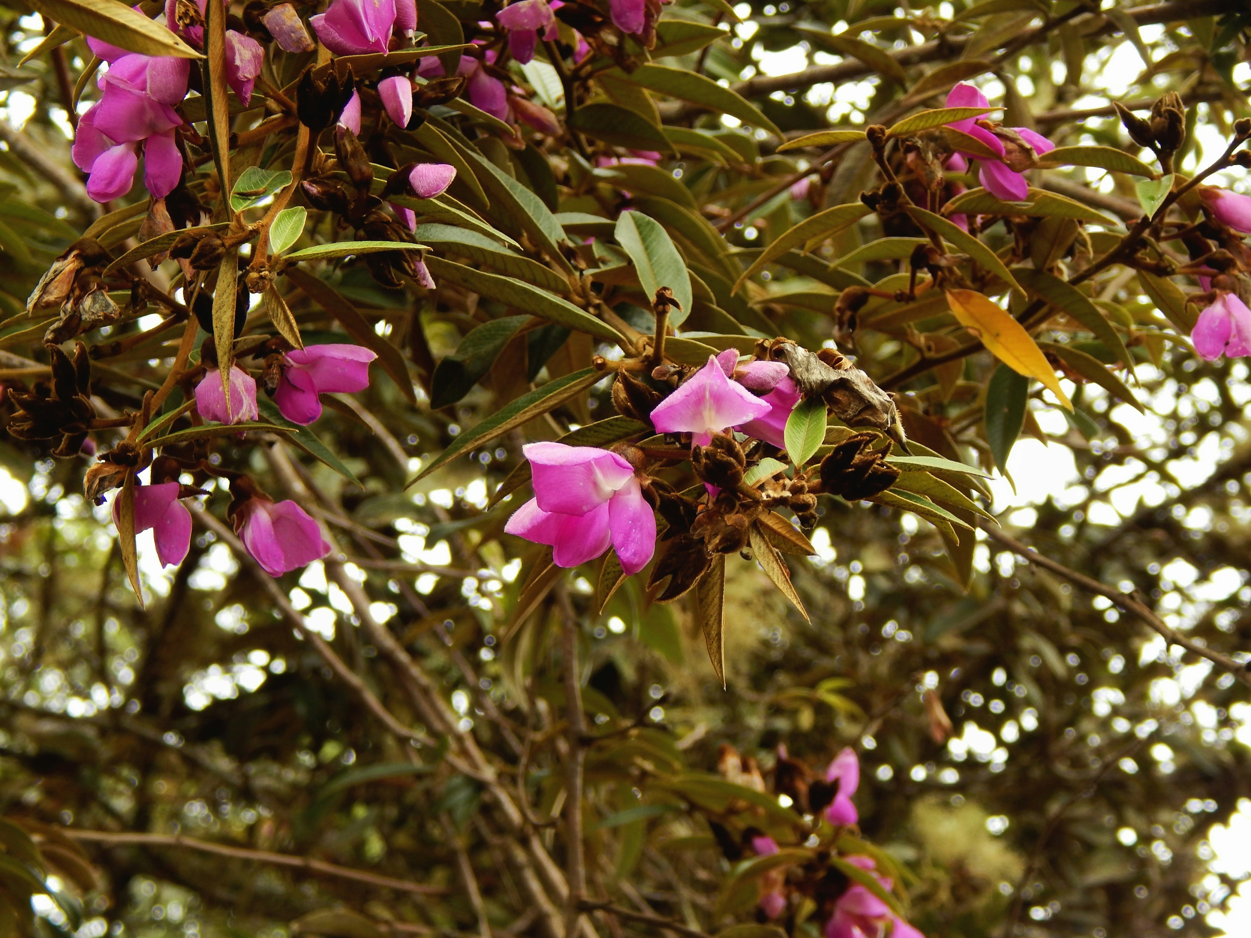 Photo by scarlettweiss