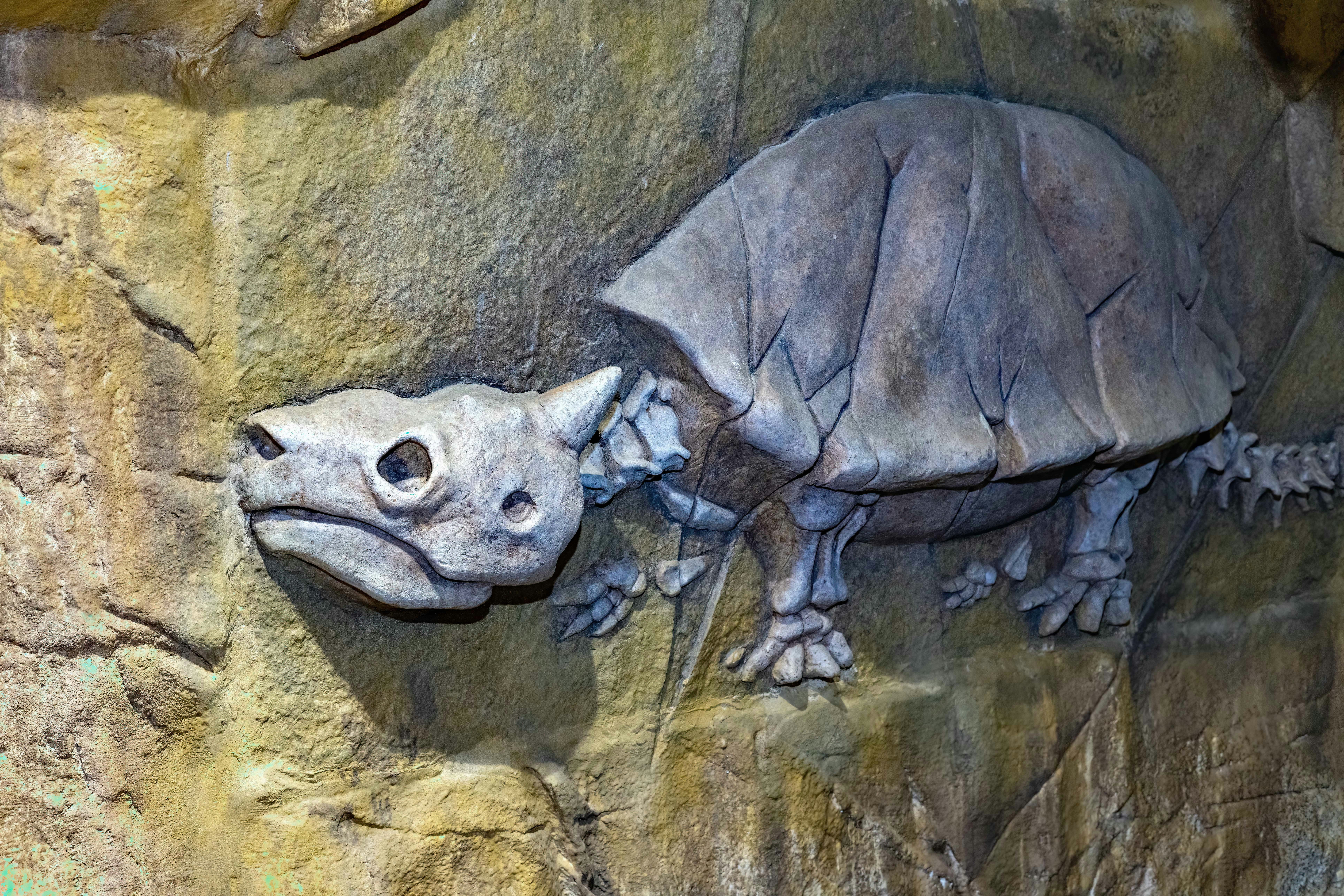 A picture of an animal on a rock wall