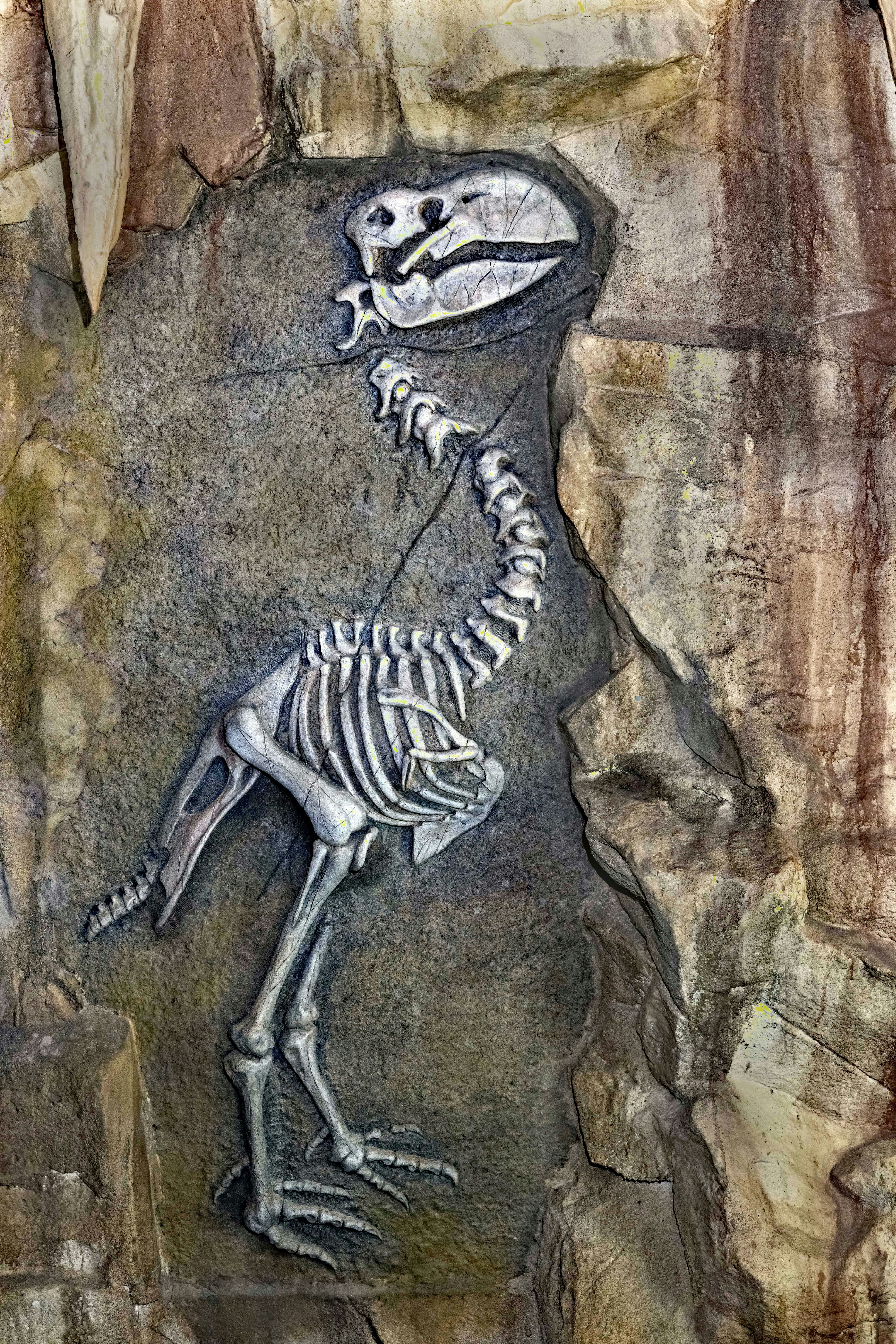 Dinofelis: The False Saber-Tooth (image credits: unsplash)