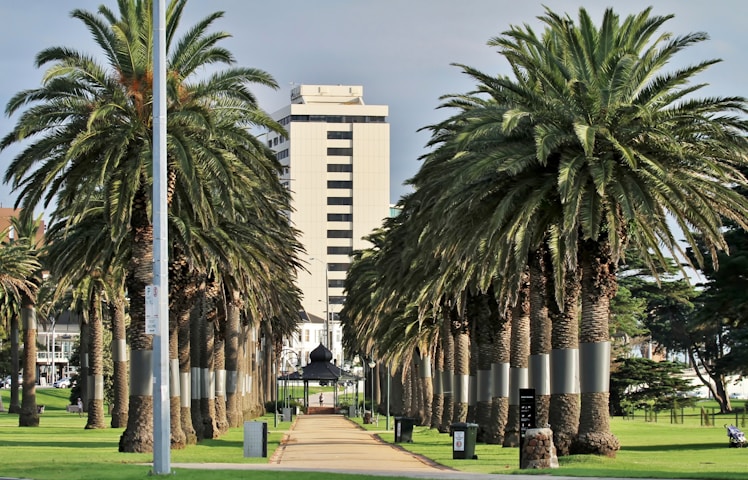 California State University Long Beach