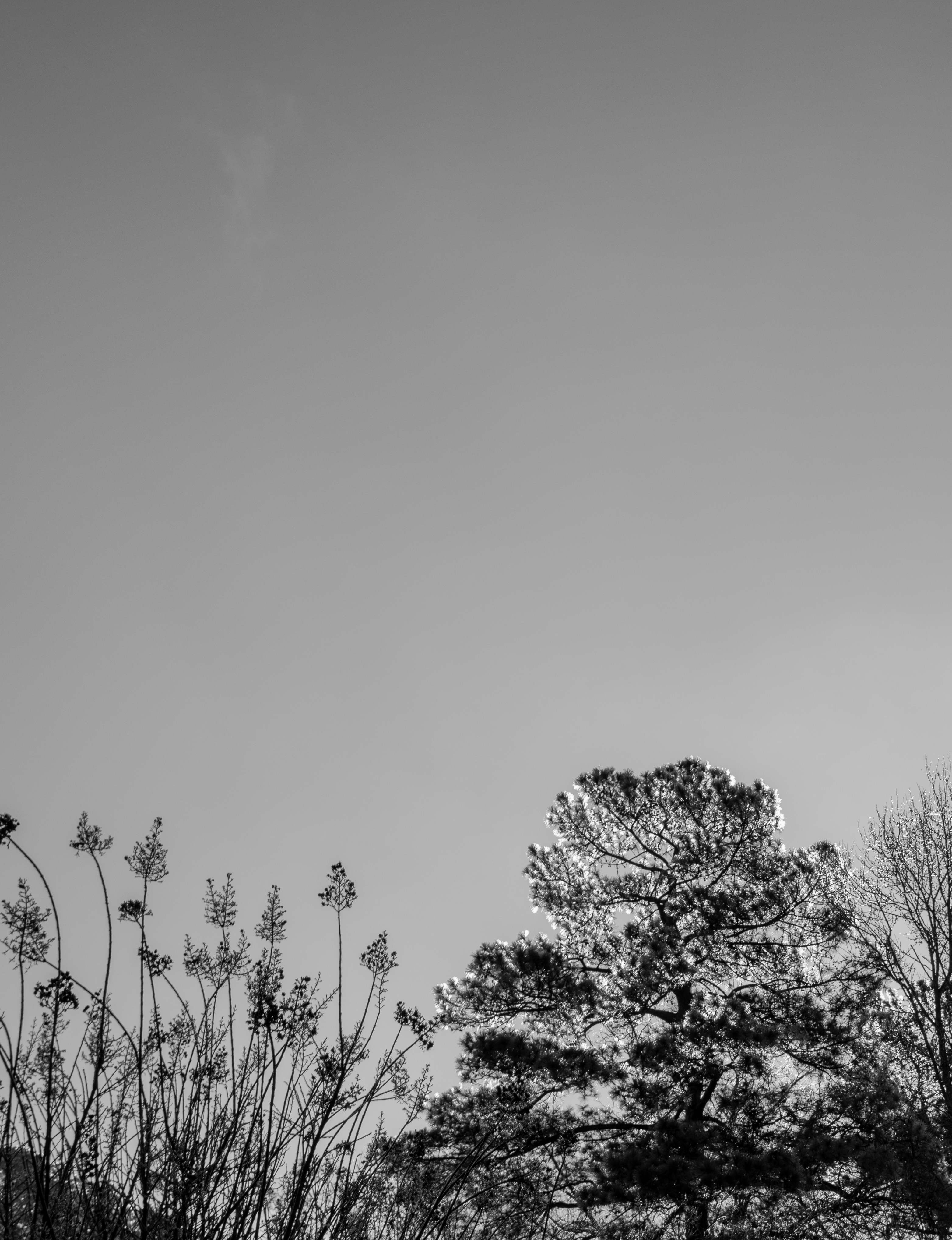 Photo by attaliehart