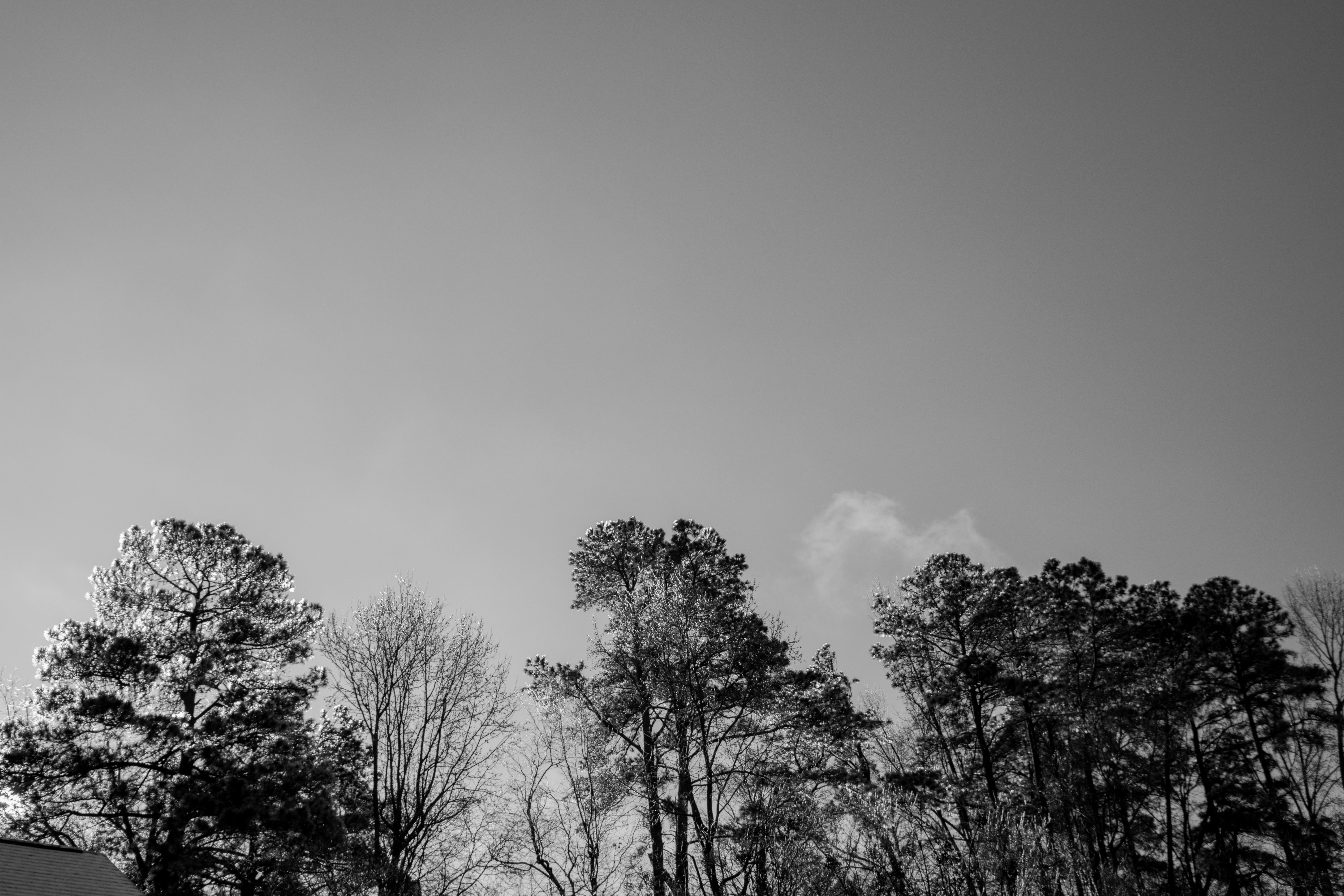 Photo by attaliehart