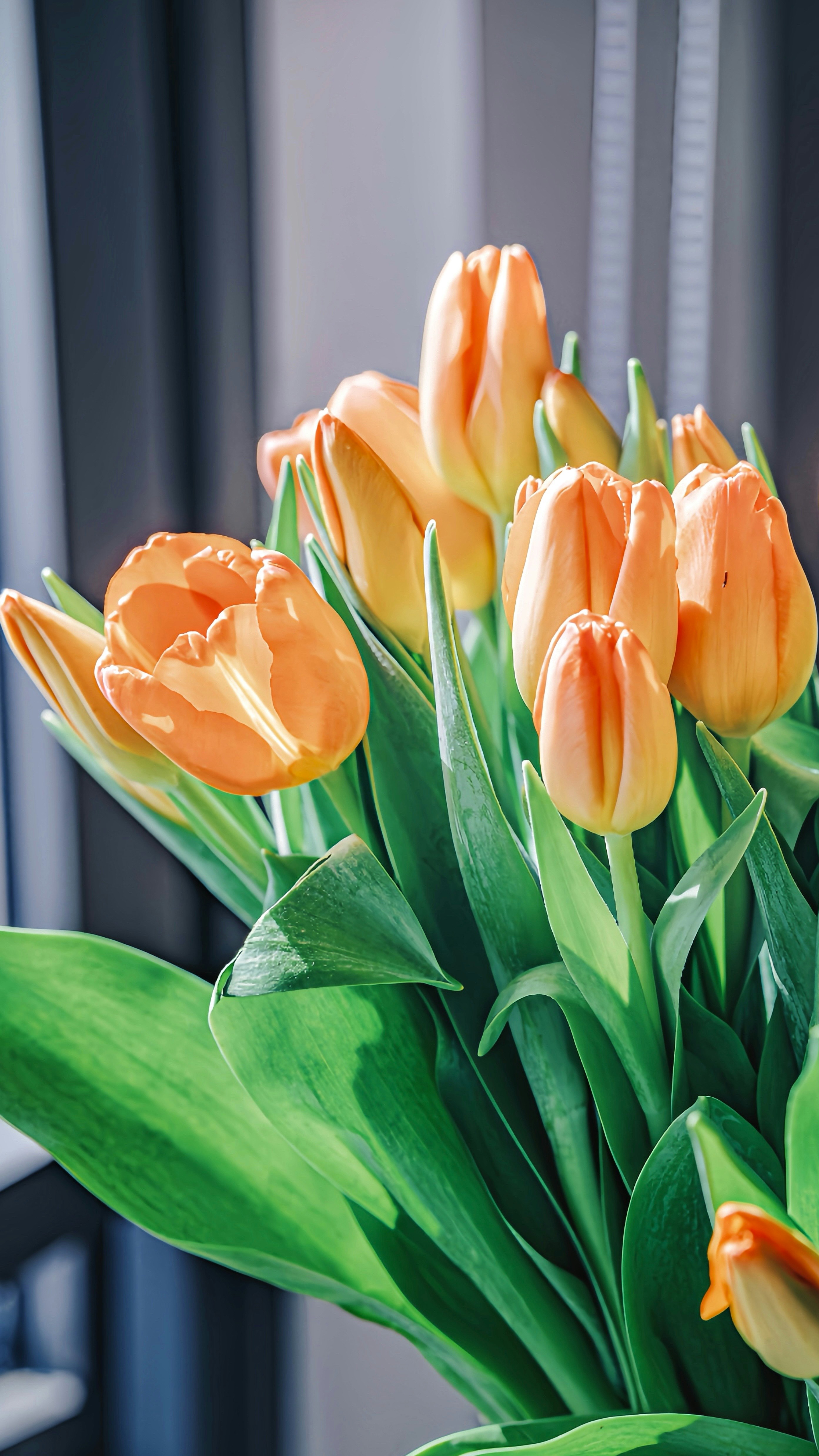 Photo by wangbinghua