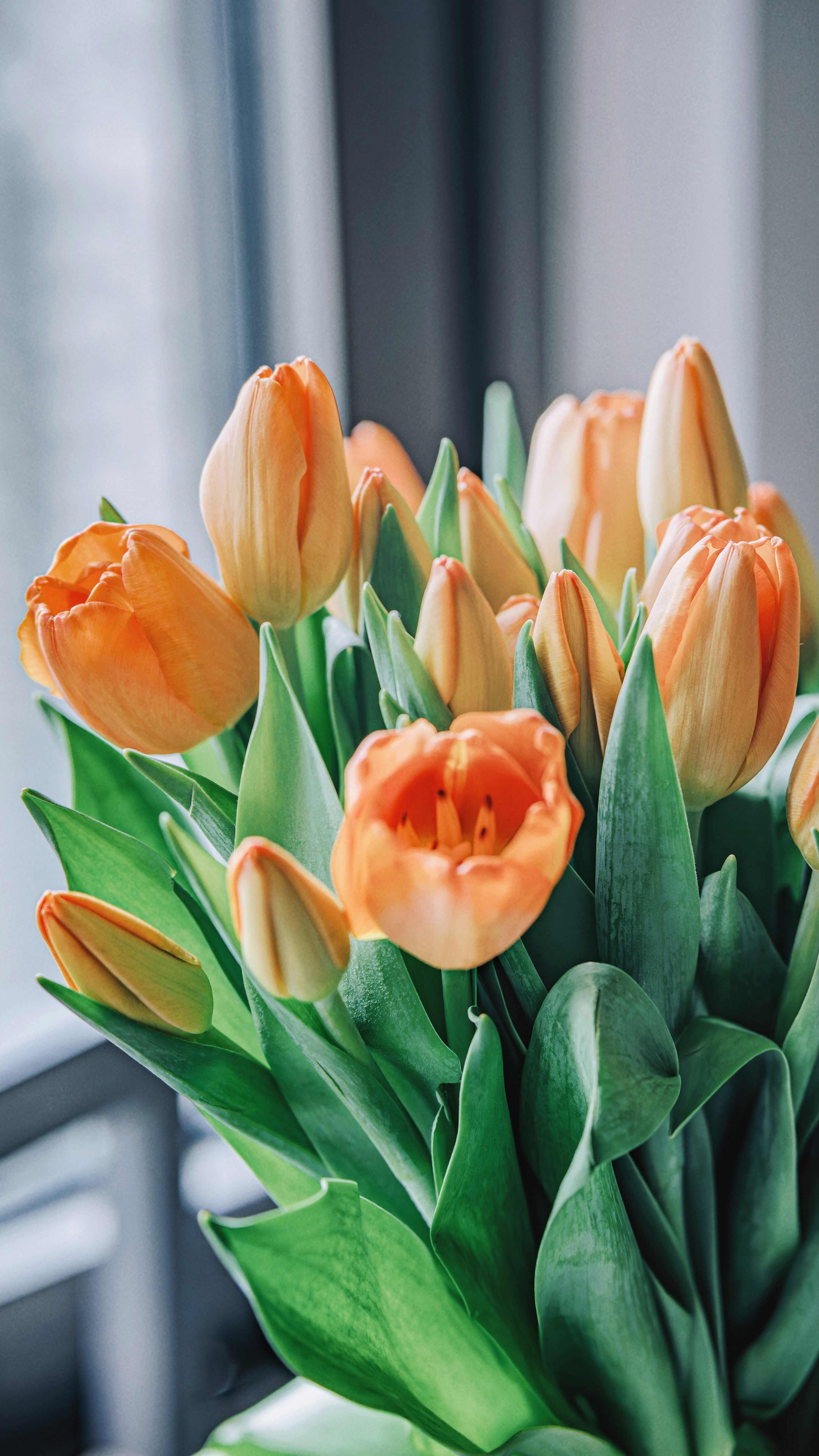 Photo by wangbinghua