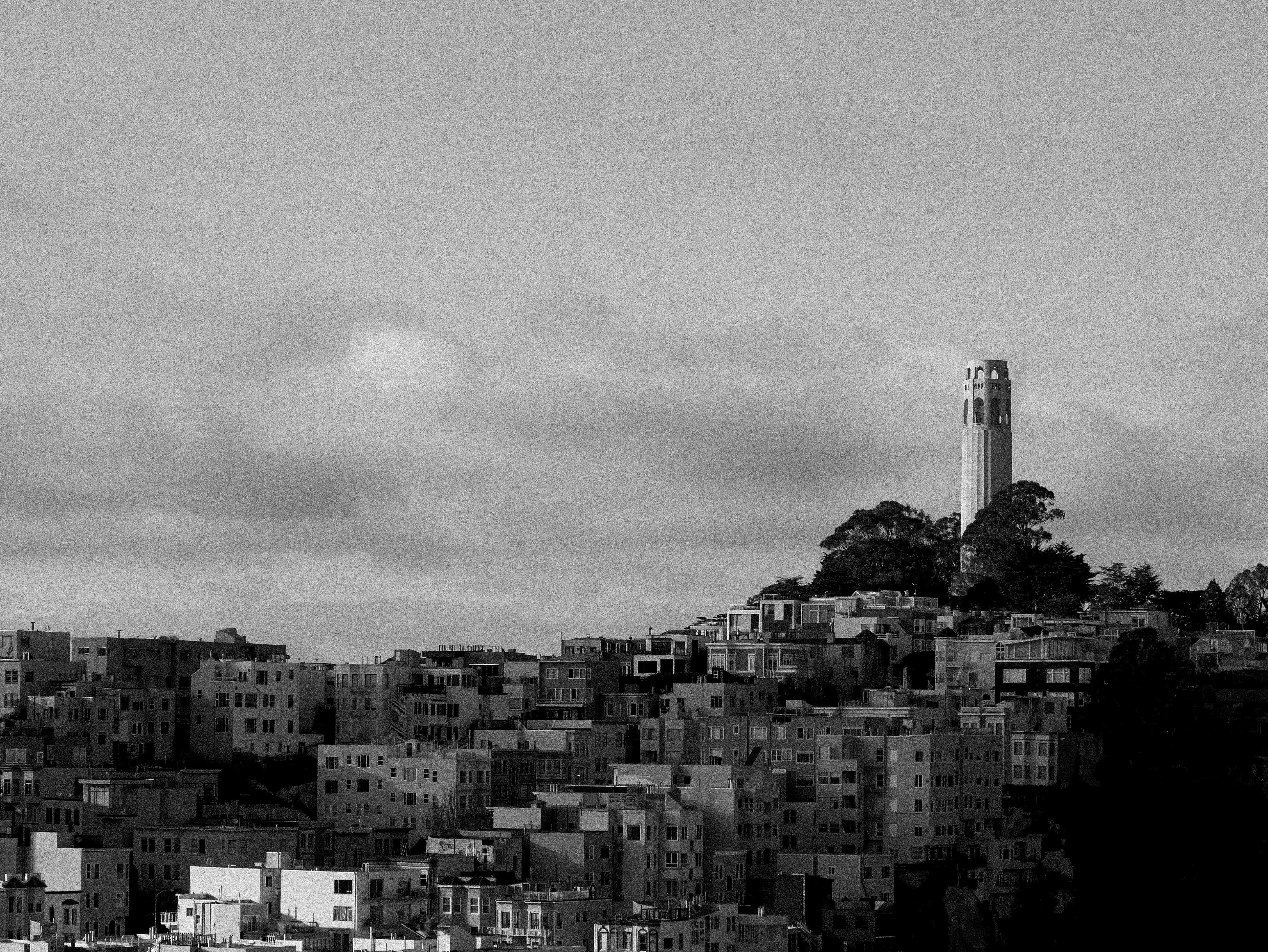 Photo by corelliancat