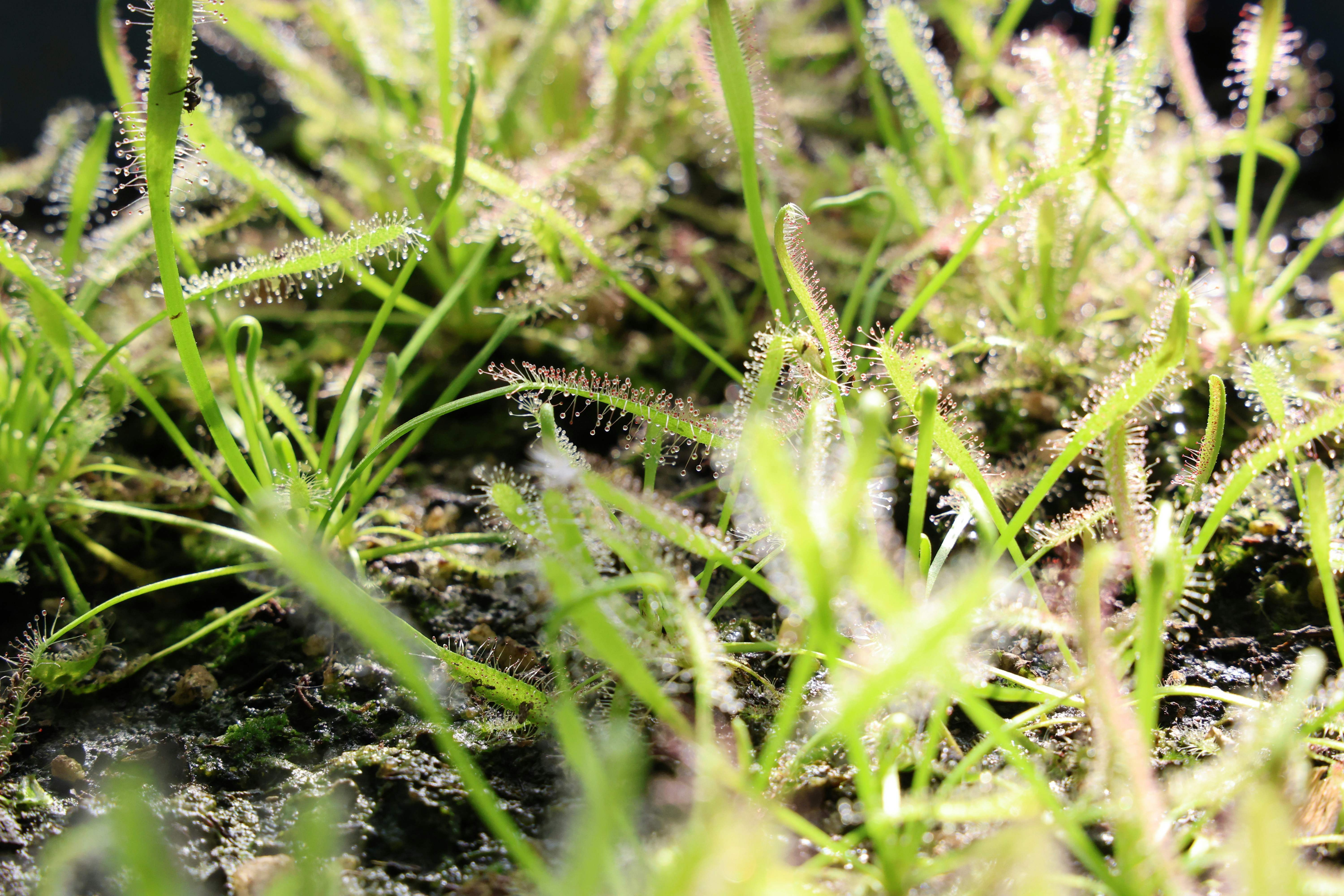 Photo by deraileddrips