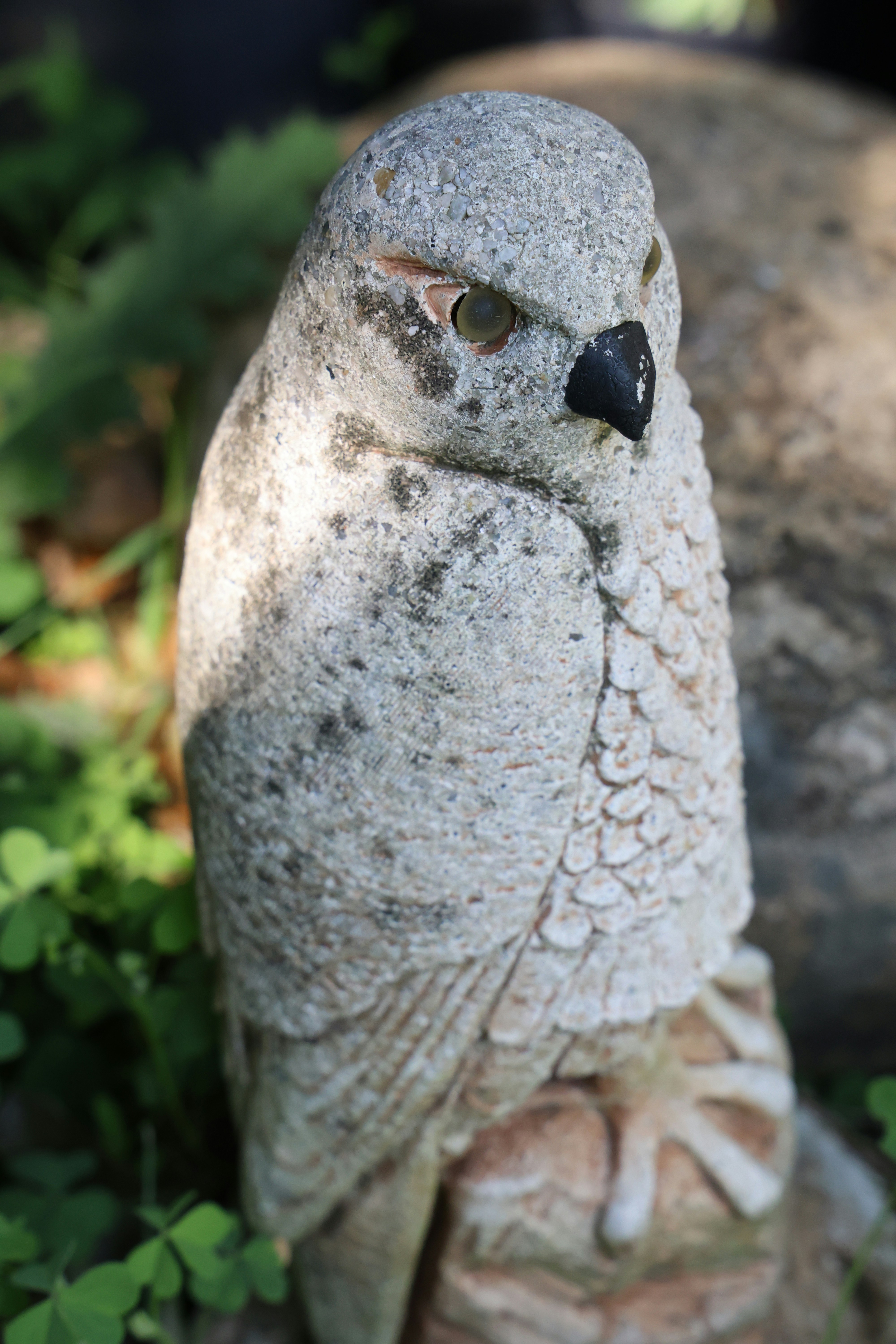 Photo by deraileddrips