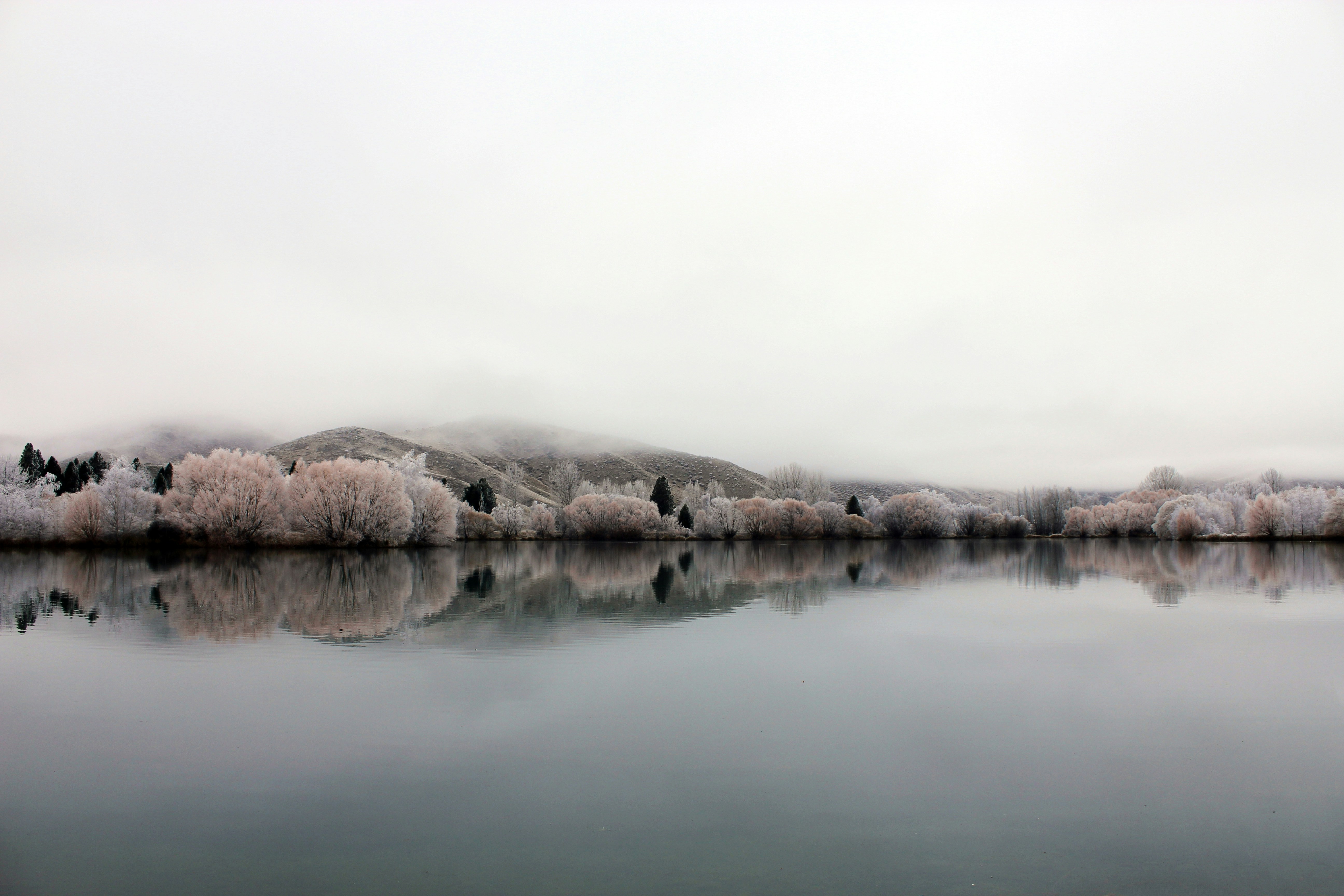 Photo by hayley_shen