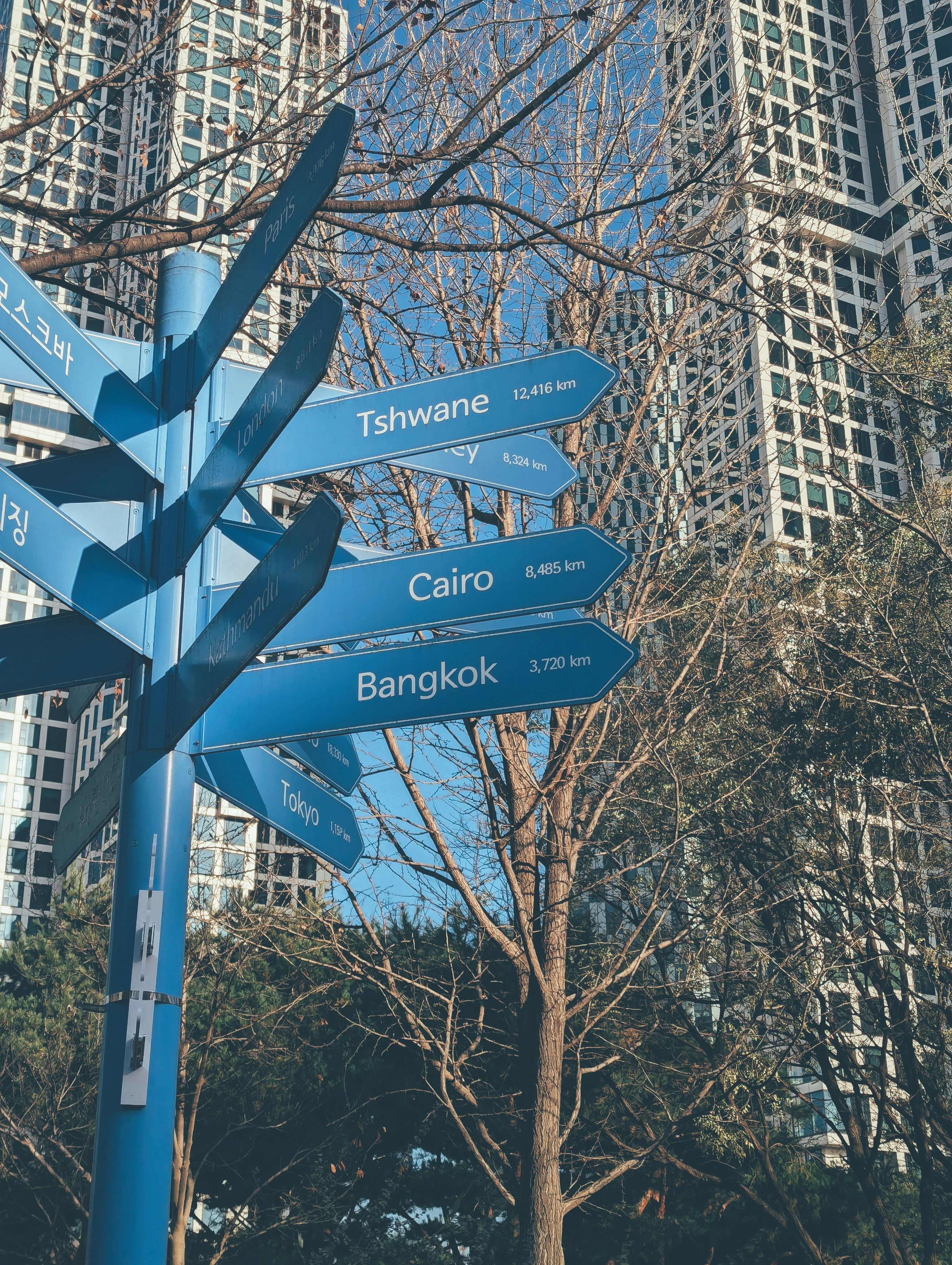 A blue street sign sitting next to a tall building