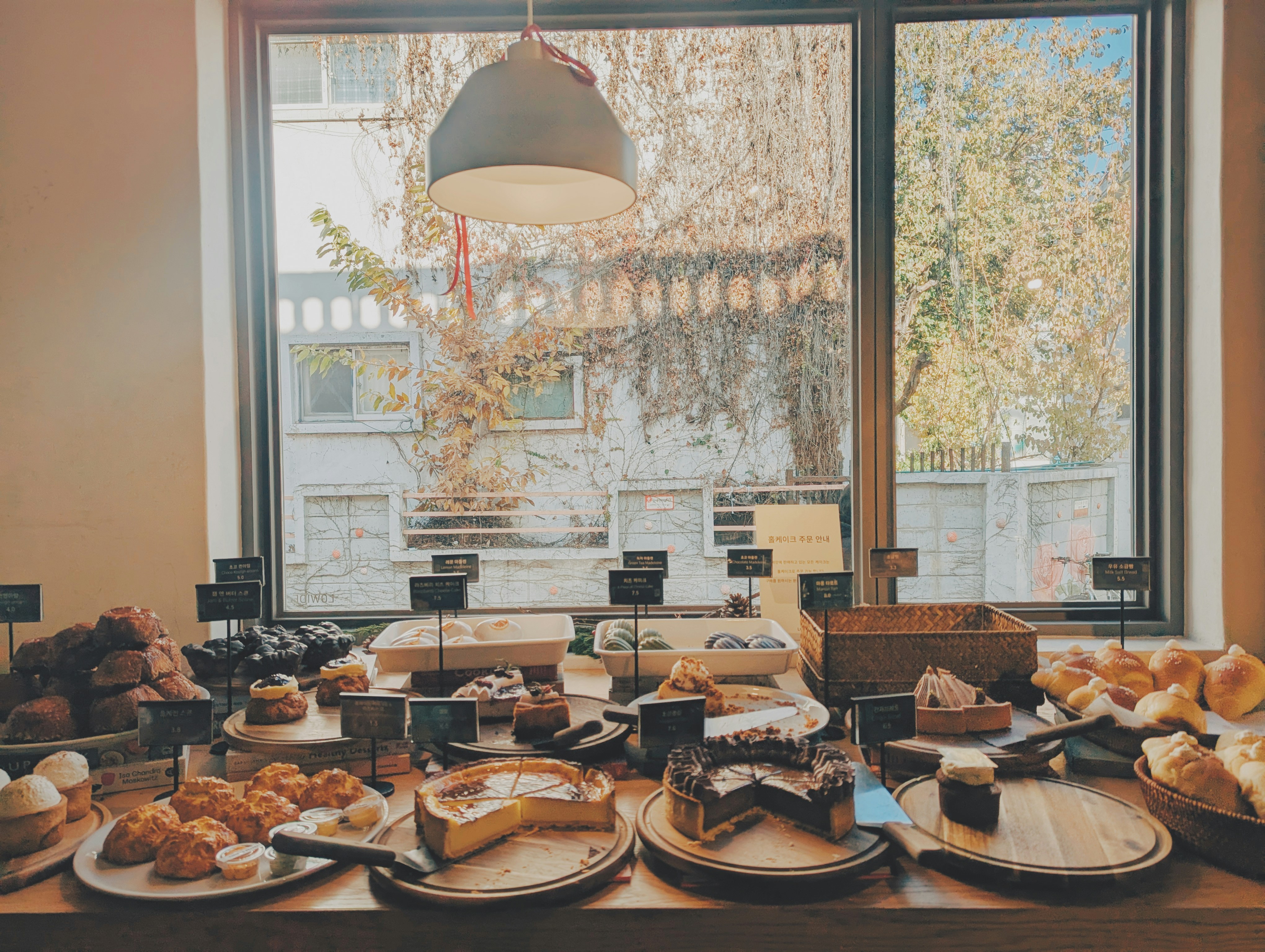 窓から差し込む光の中に並ぶ美しいパンたち