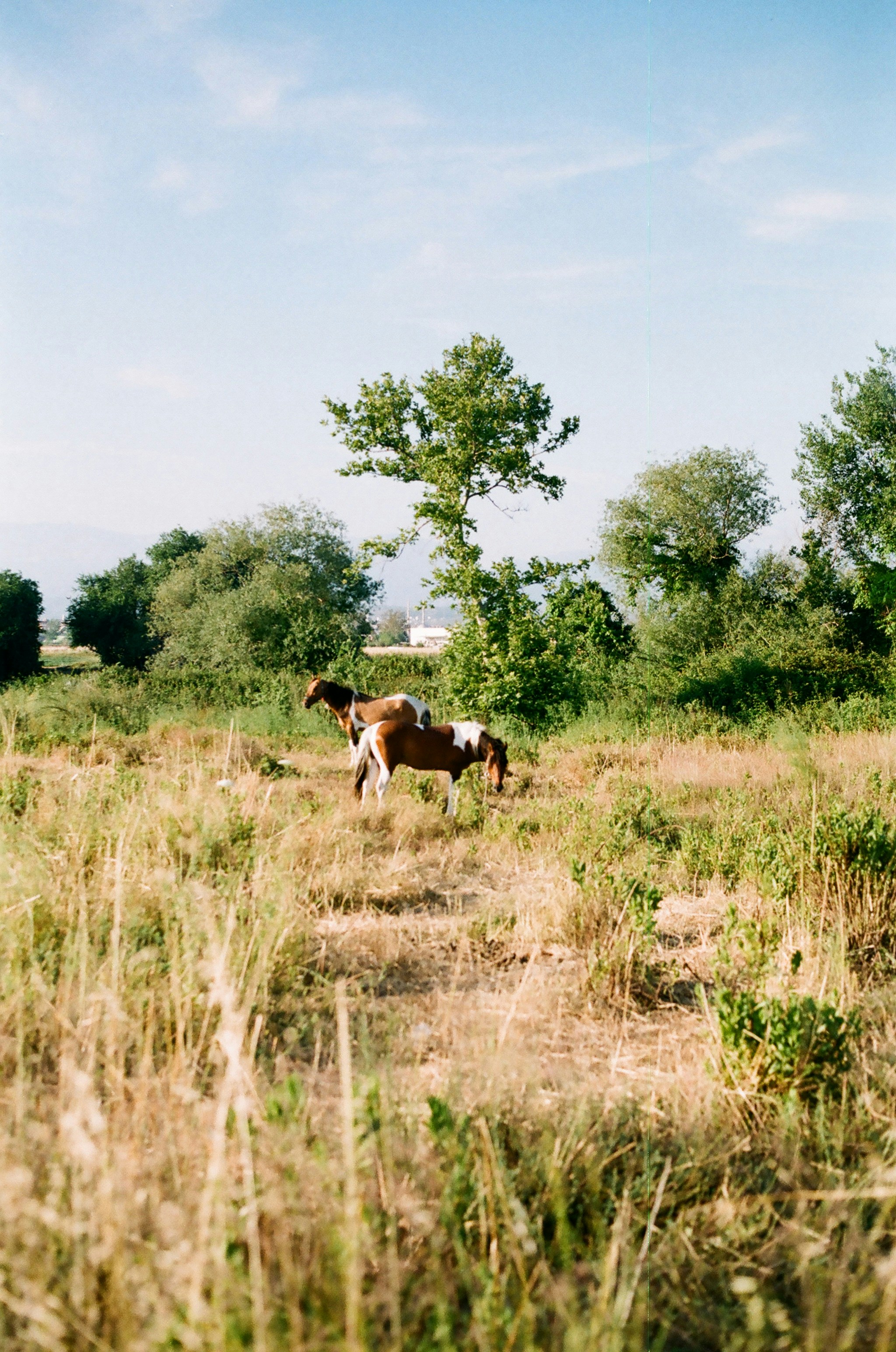 Photo by mihmanduganli