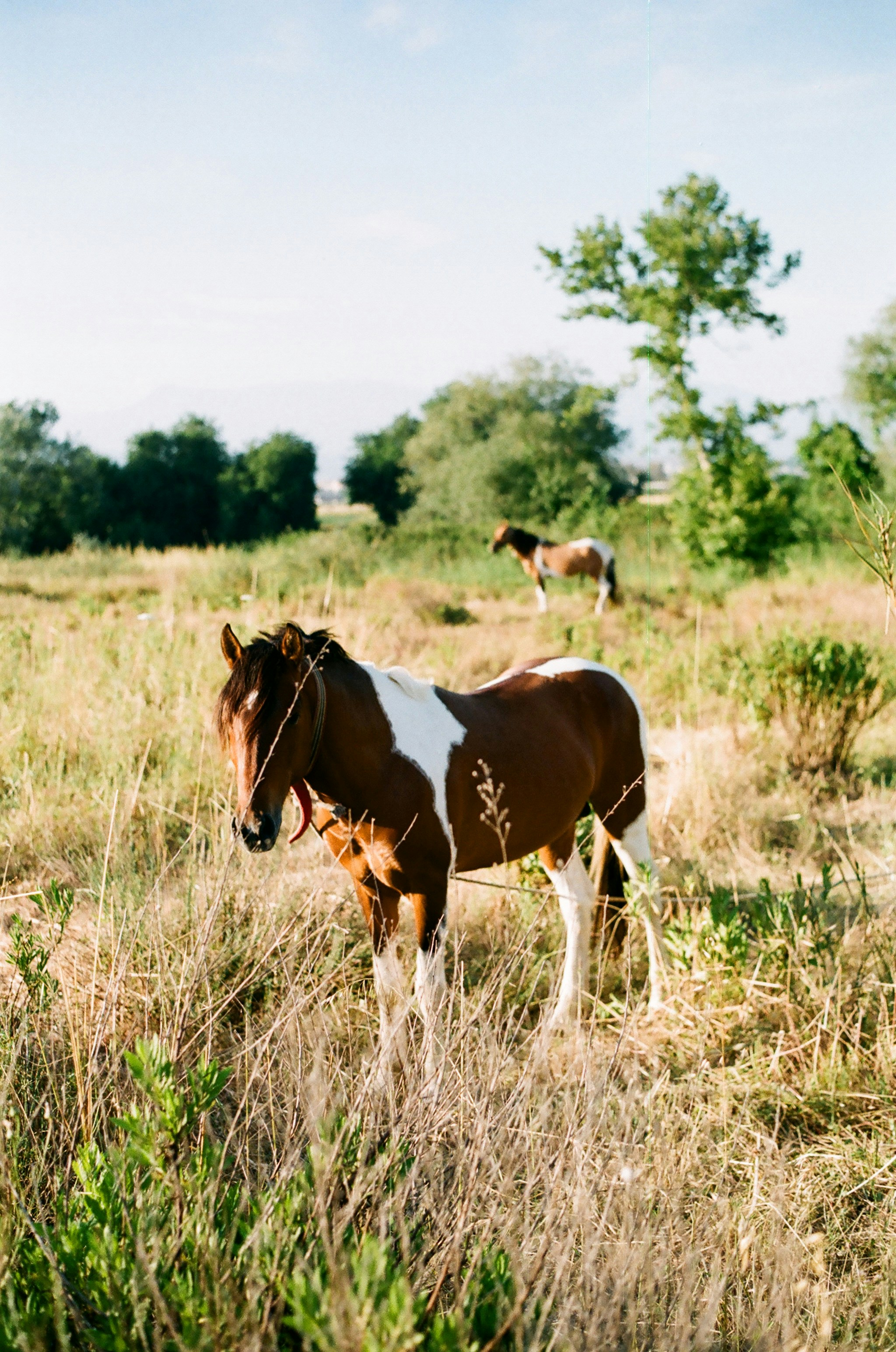 Photo by mihmanduganli