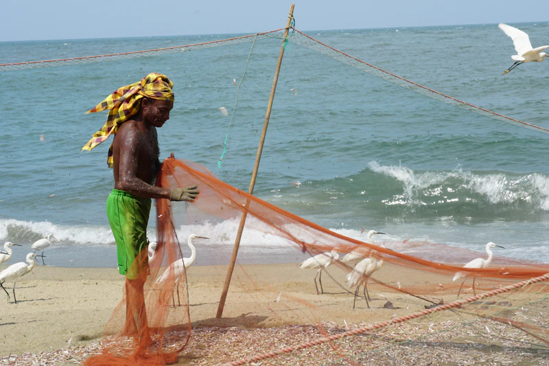 Sri Lankan stilt fishermen