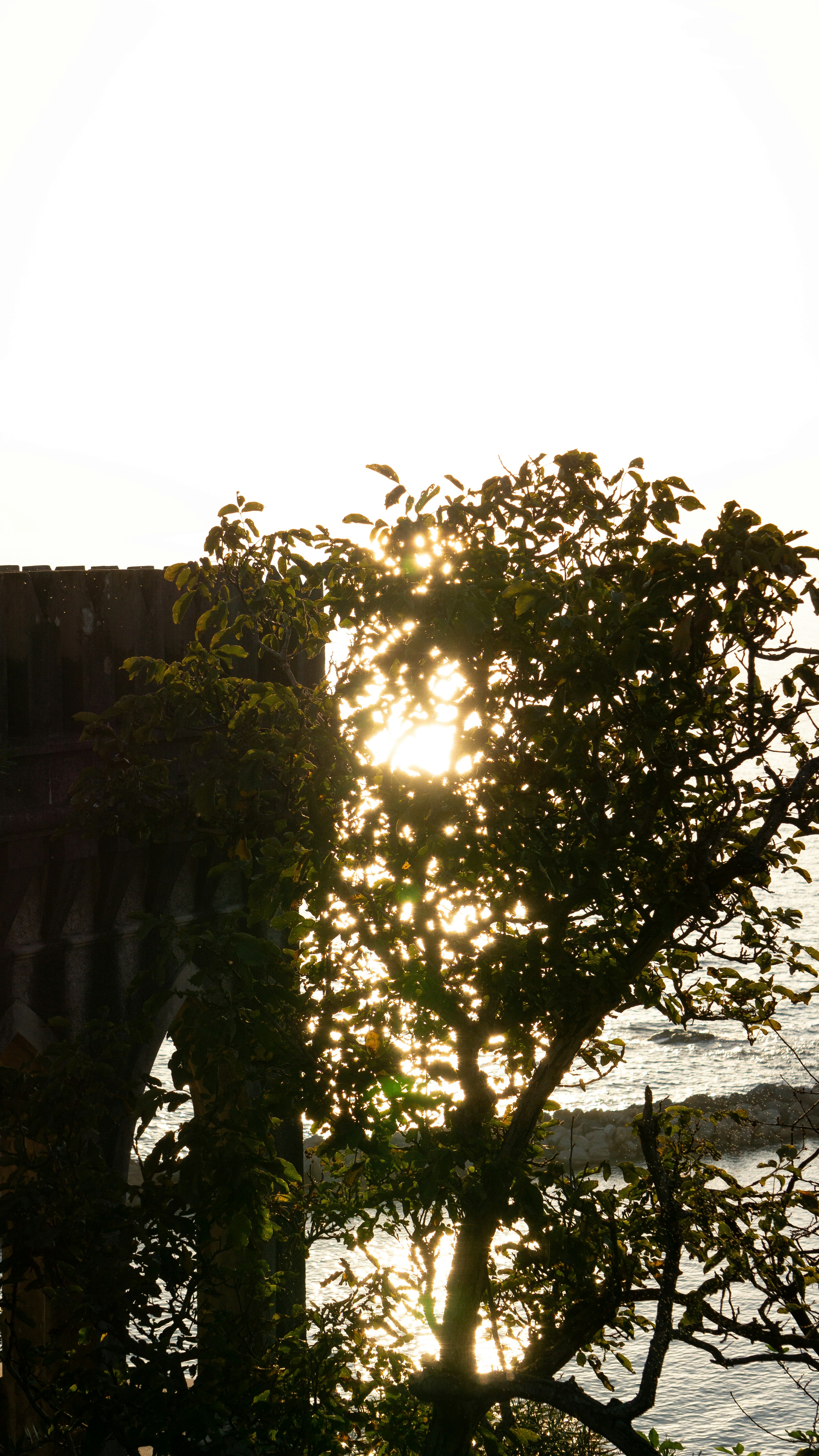 Photo by elias_anzani11