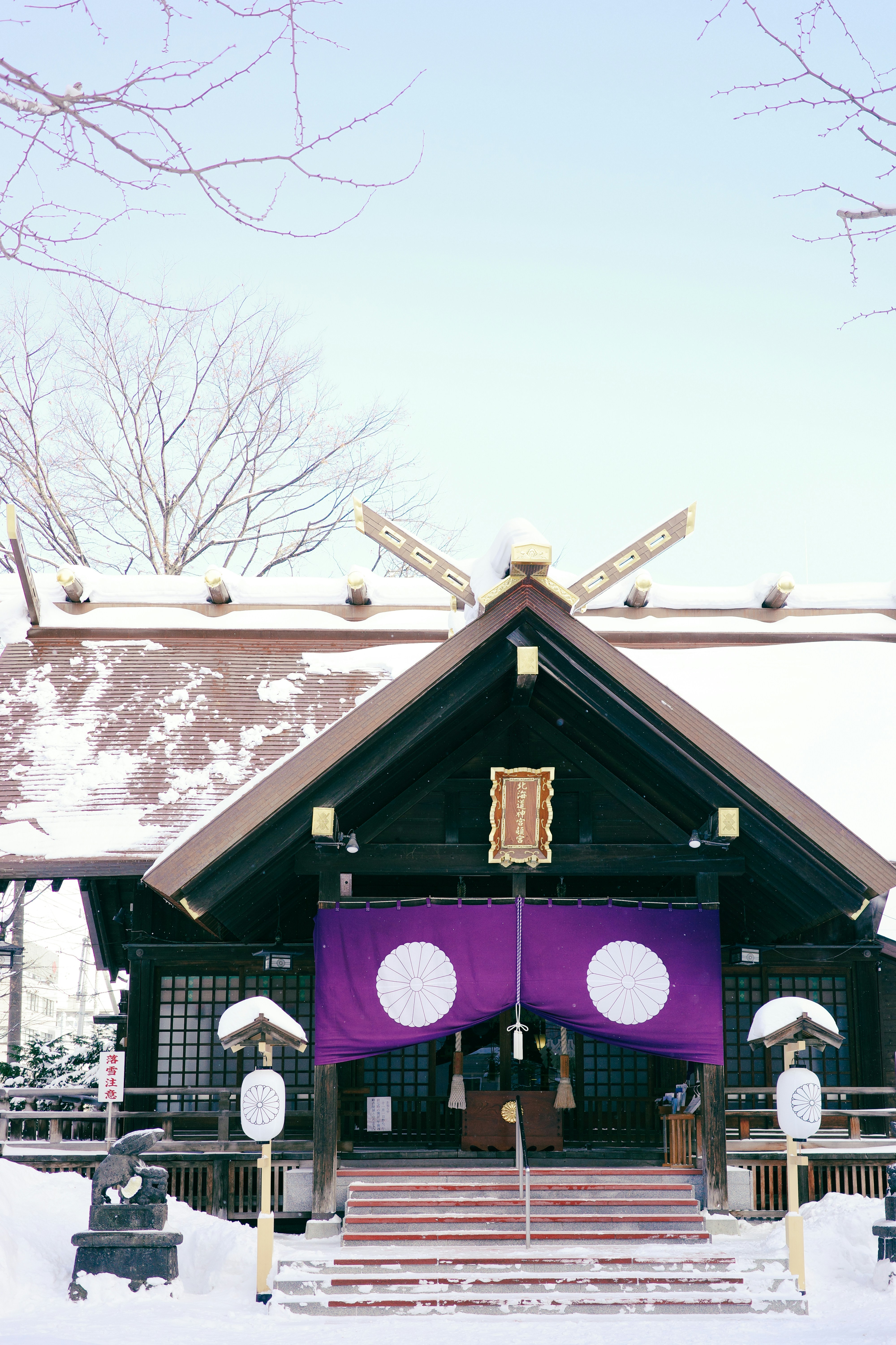 Winter Wonderland: Skiing, Snow Festivals, and Ice Activities