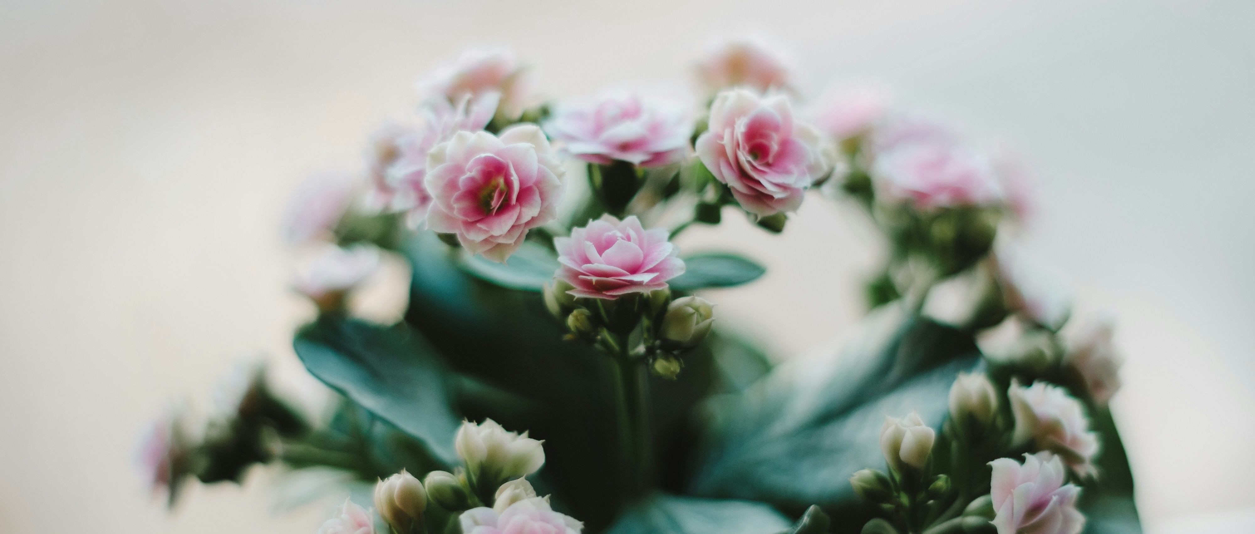 Photo by markuswinkler