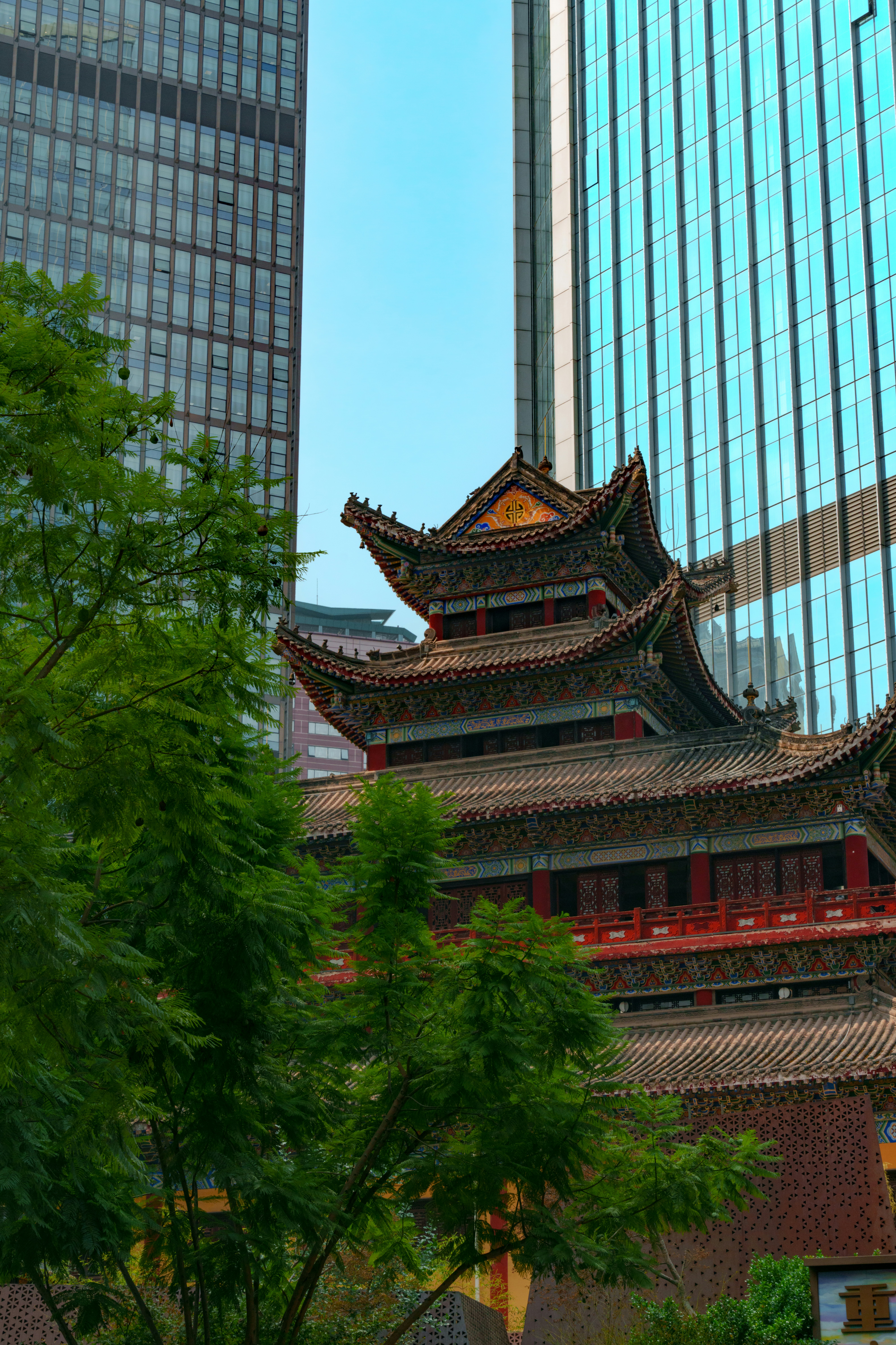 Photo by hattrick1996