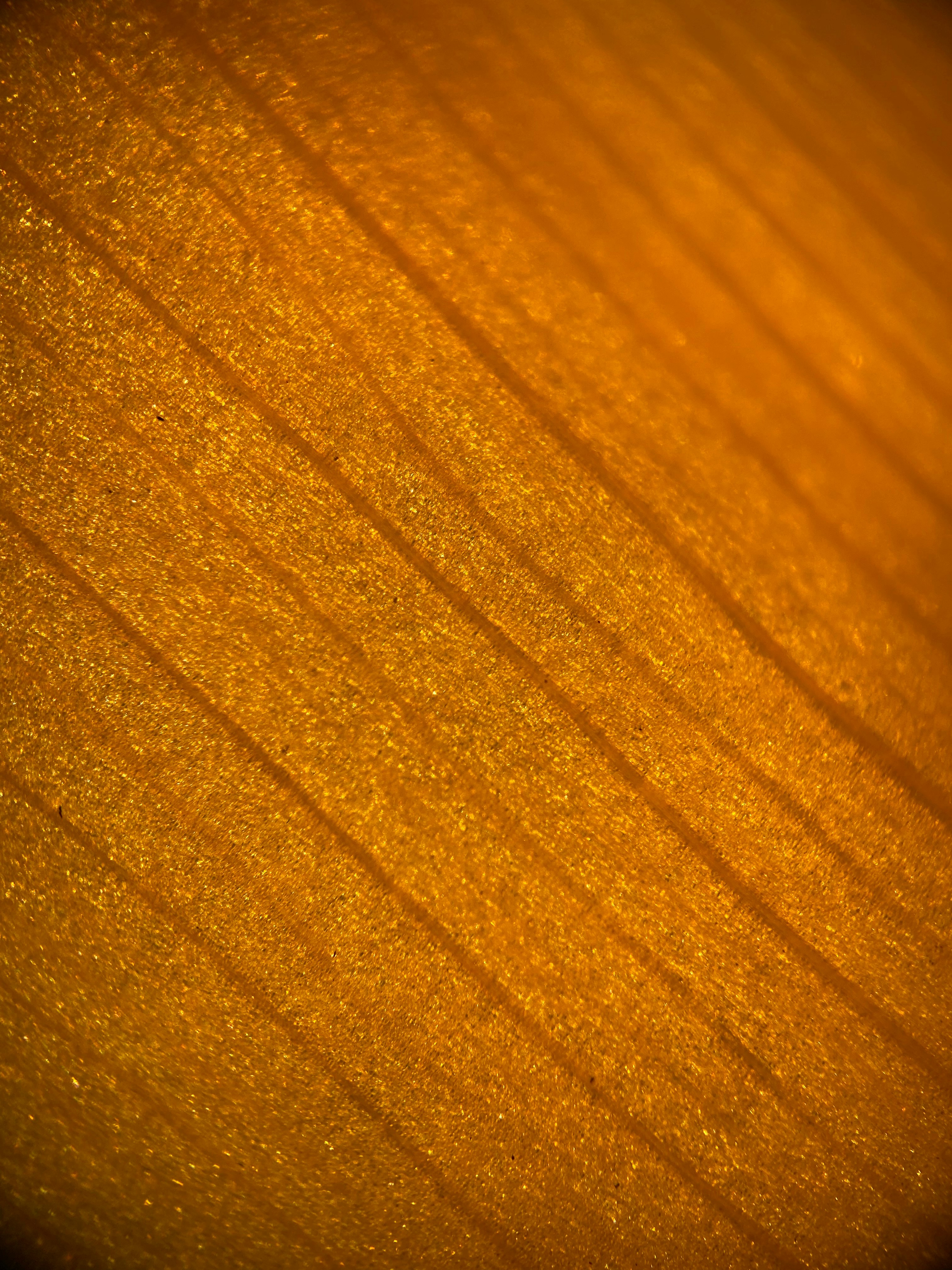 Photo by norbertotriaes