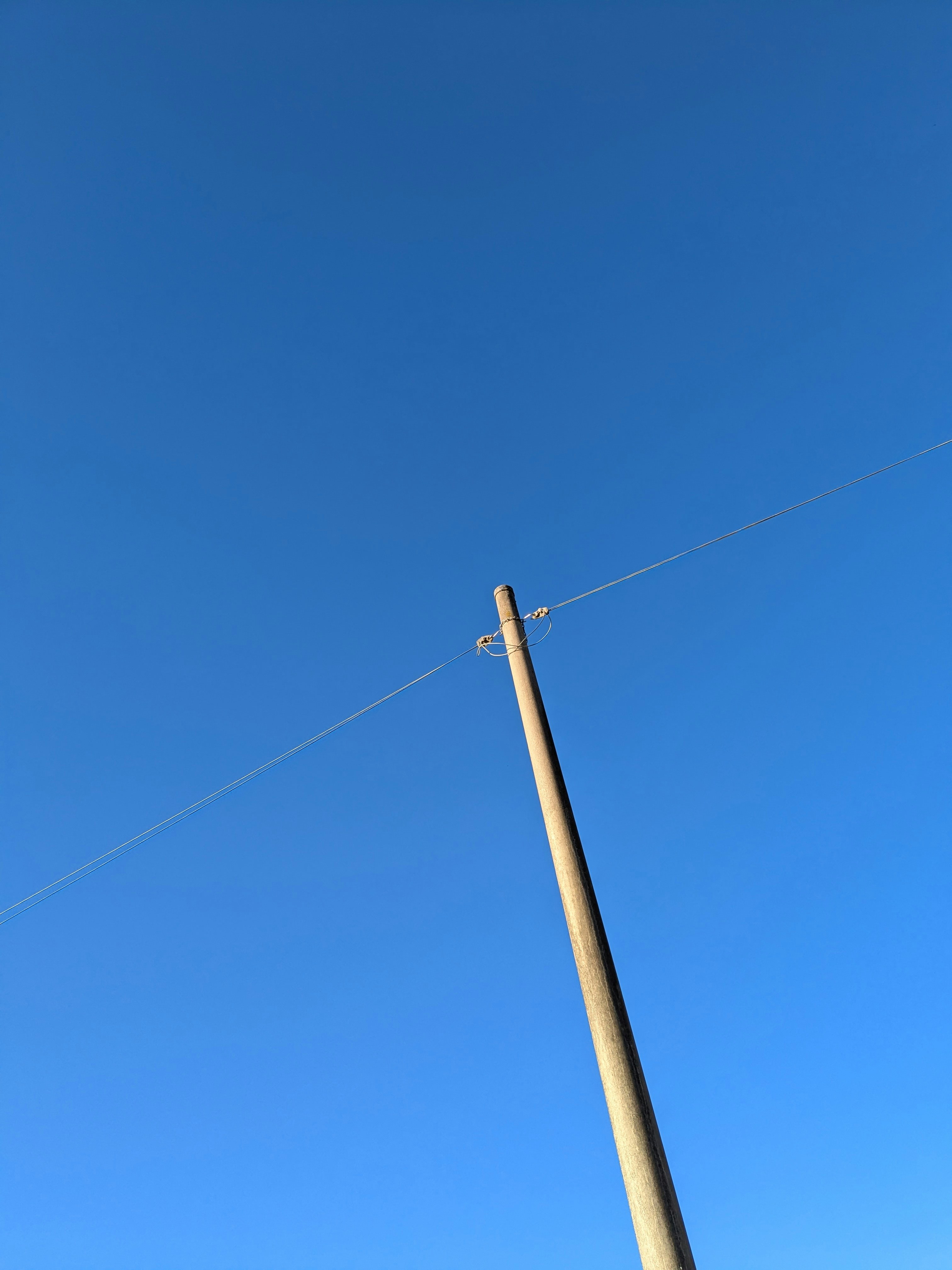 AnyConnect for Hybrid Retail: Reducing Tail Latency and Building Resilient MetaEdge PoPs (2026 Playbook)