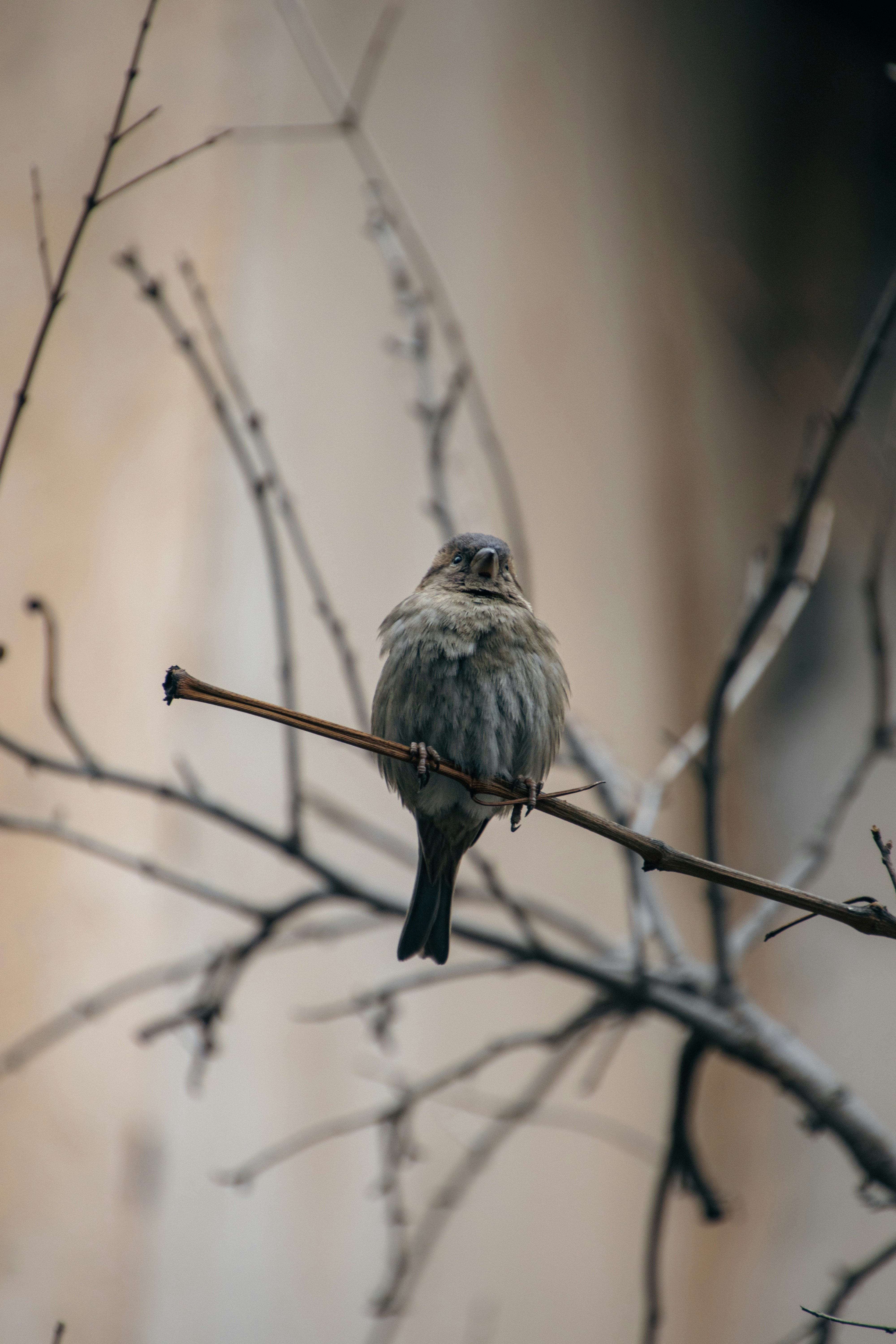 Photo by tavathamo