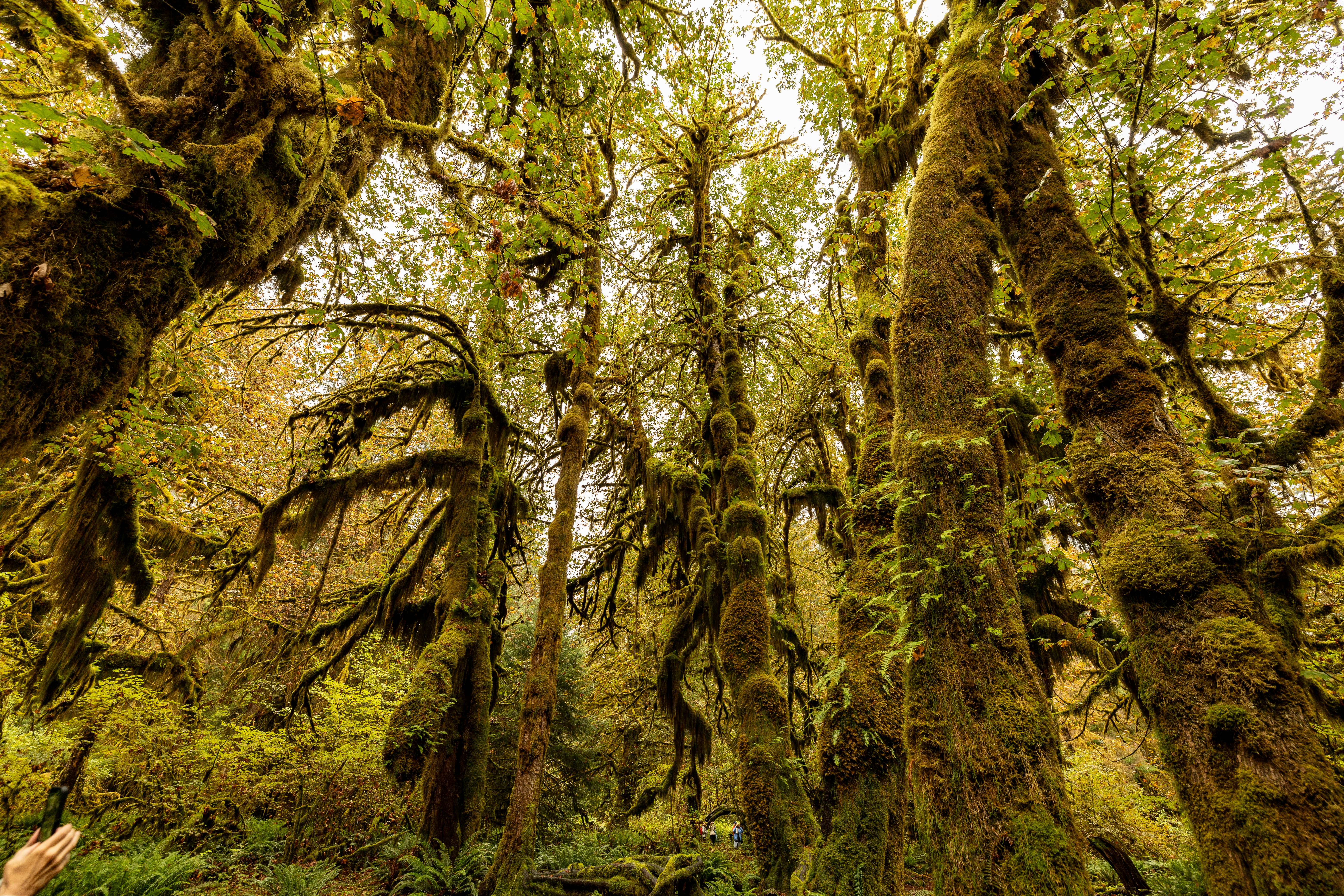 Photo by lancetraveler60