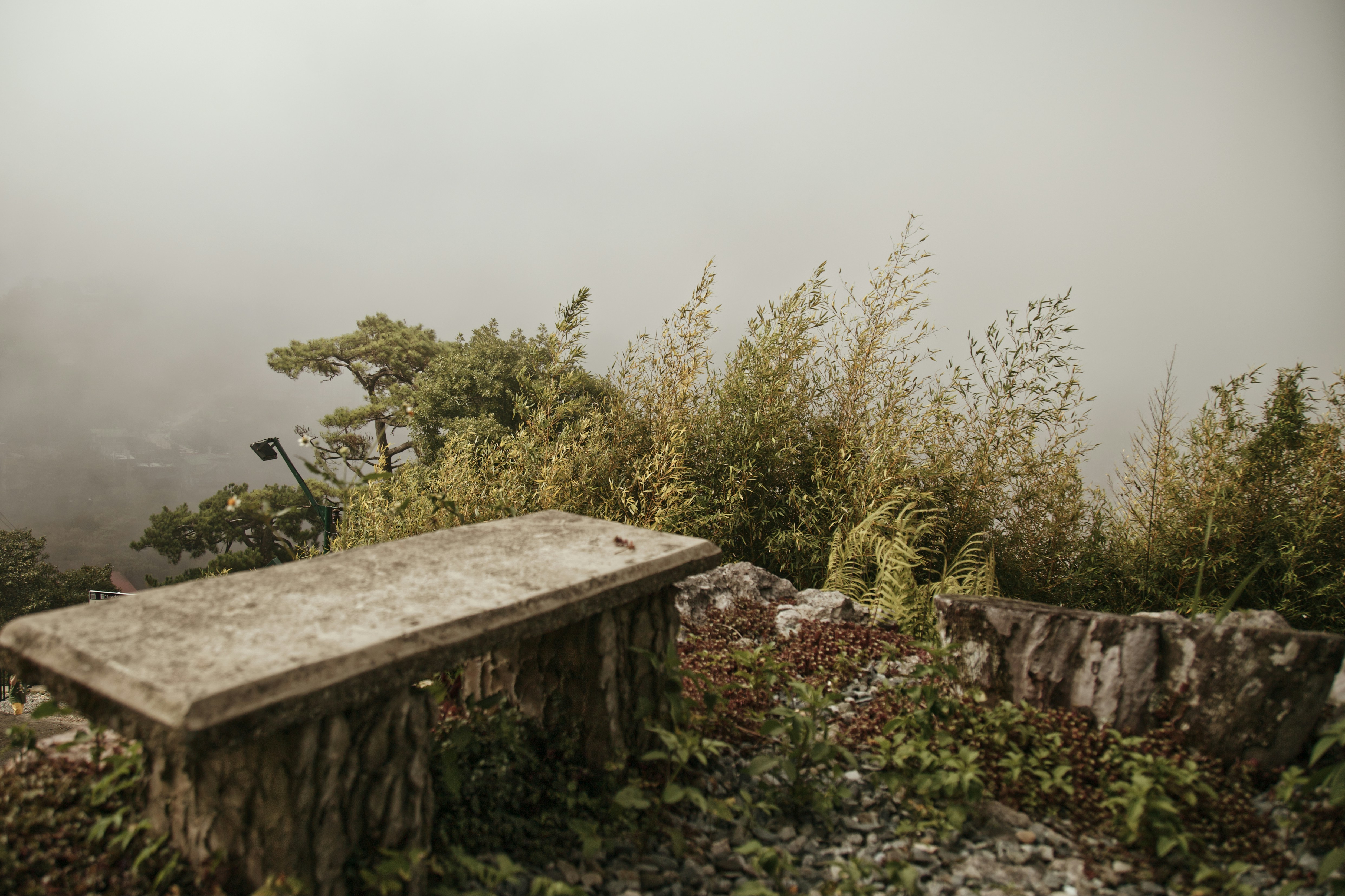 A bench sitting on top of a lush green hillside