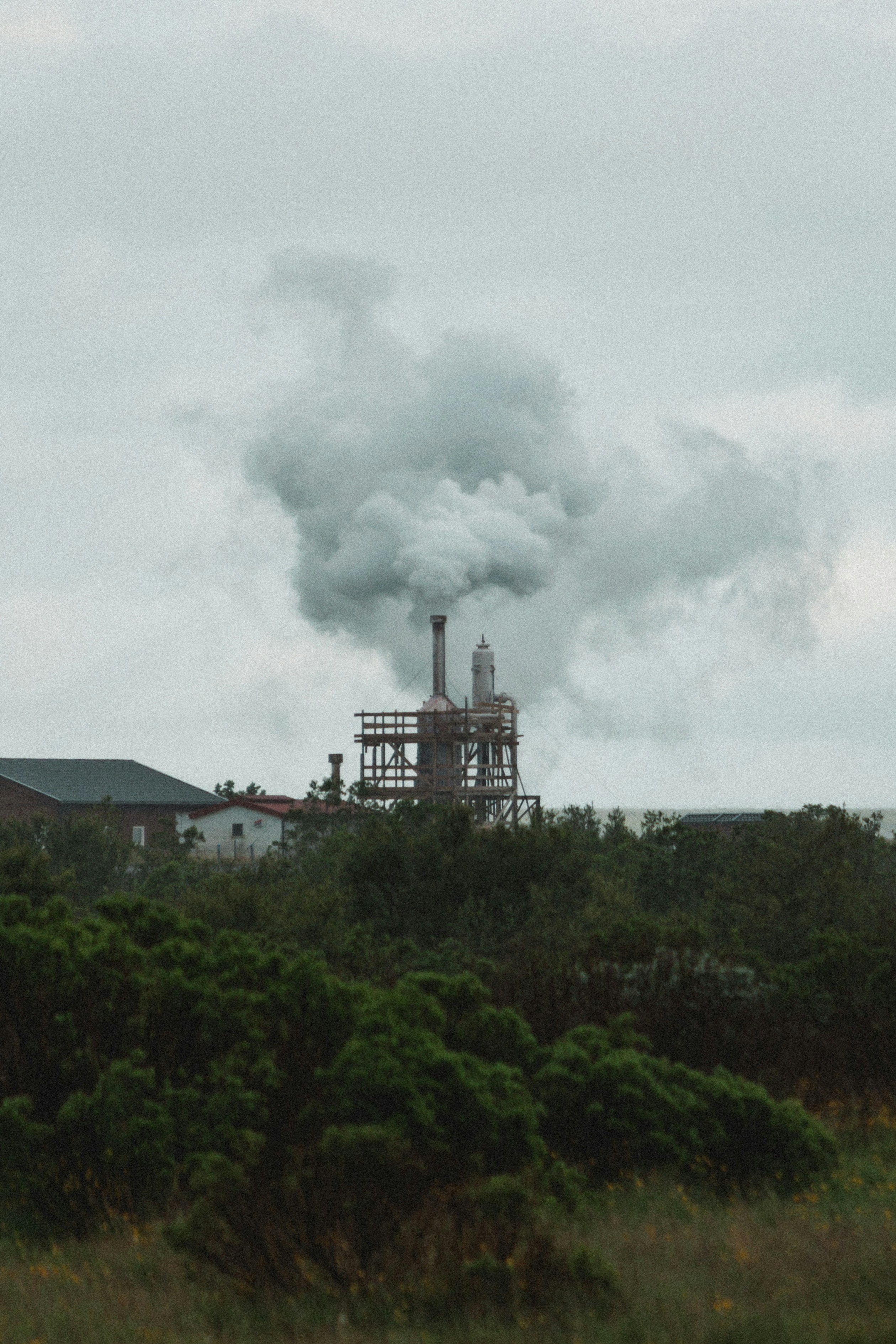 Photo by andrew_creative