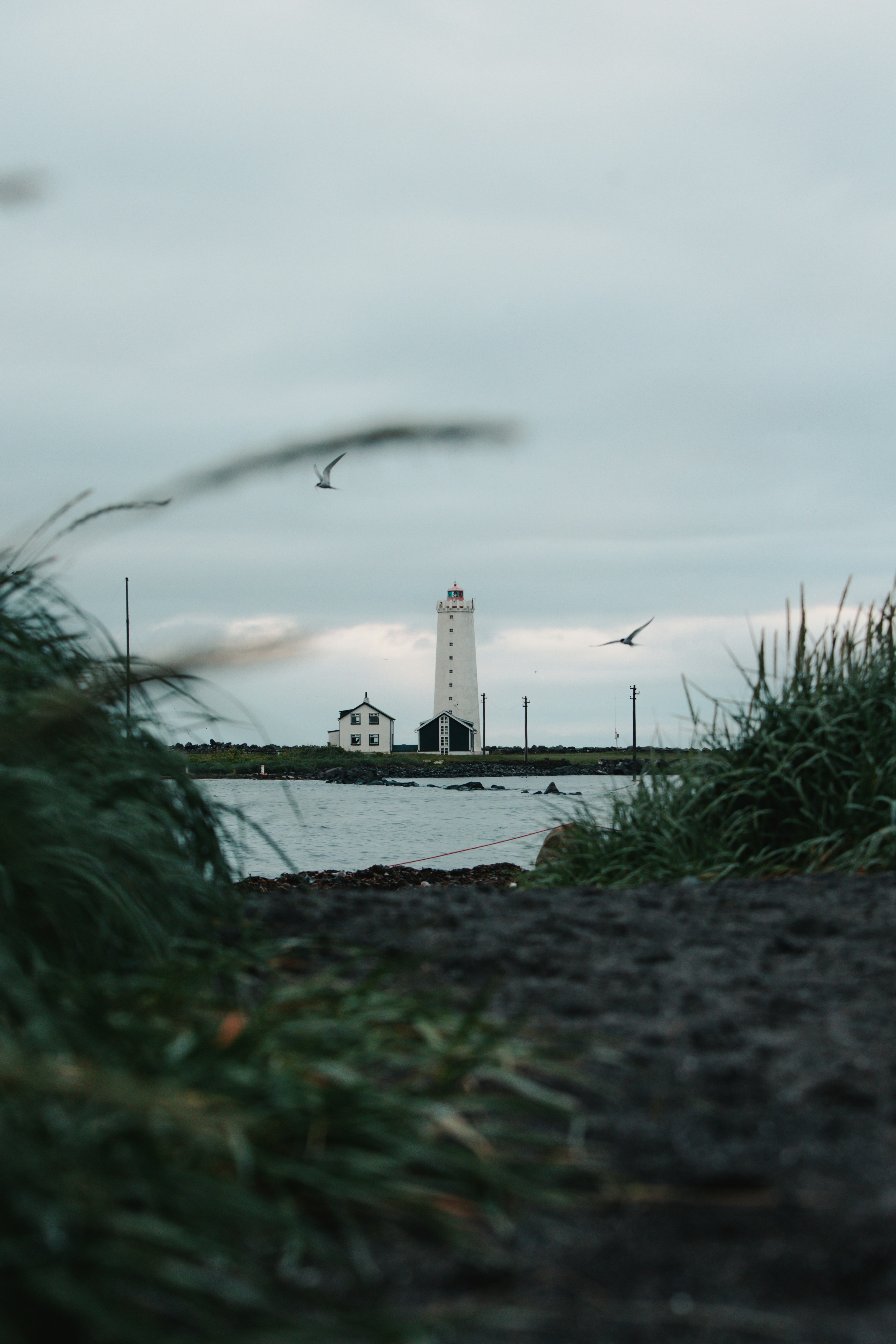 Photo by andrew_creative