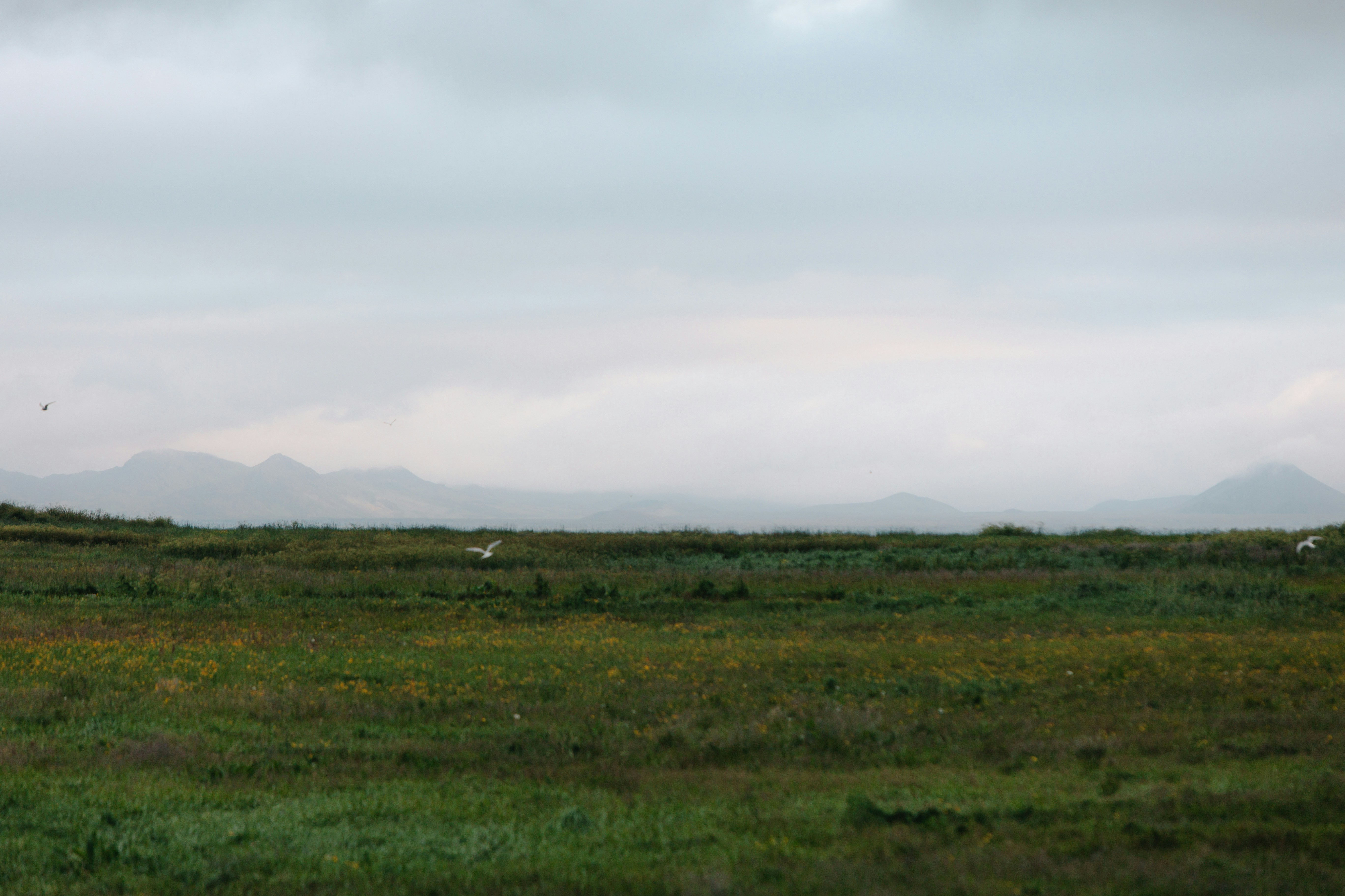 Photo by andrew_creative