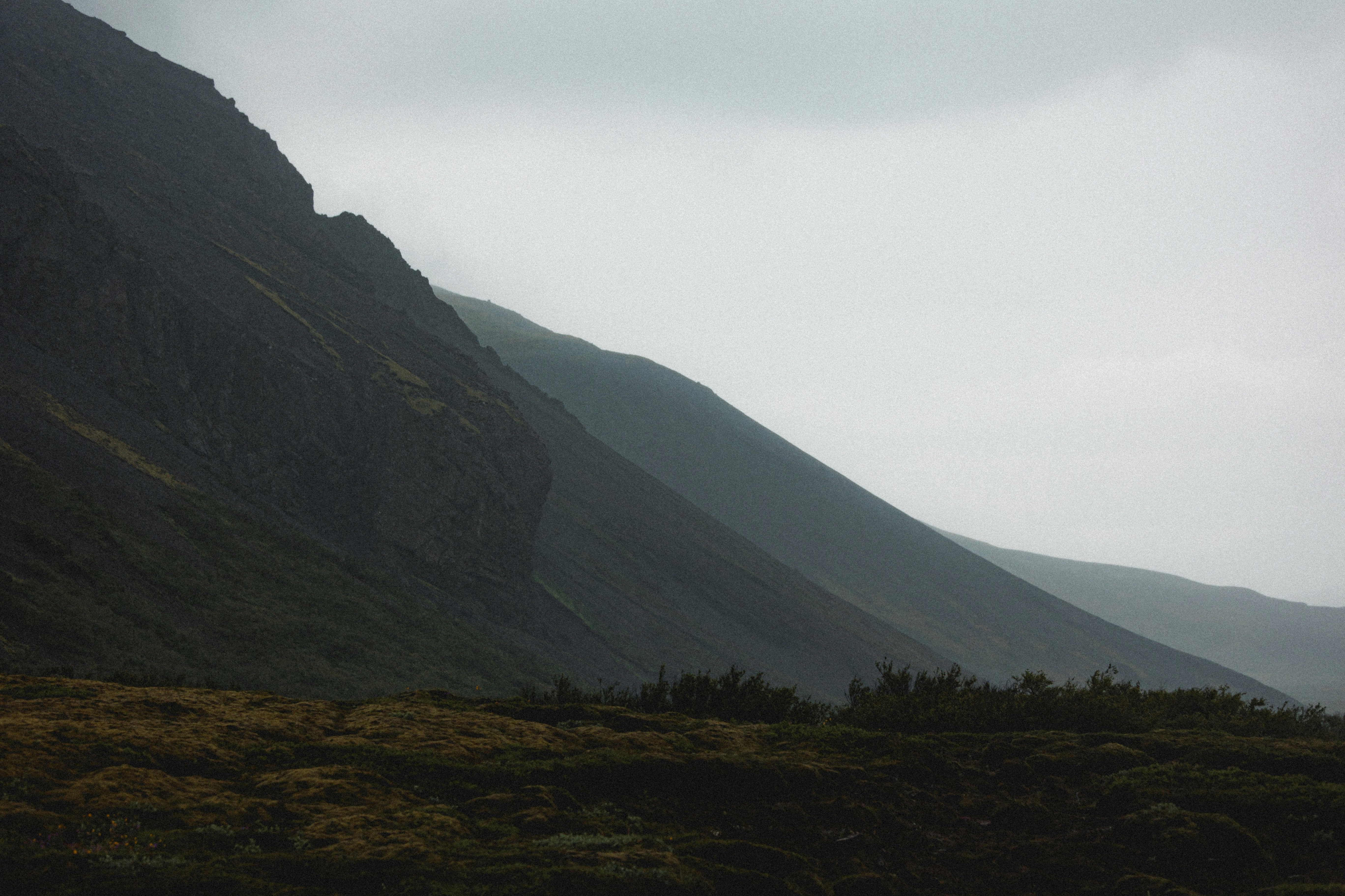 Photo by andrew_creative