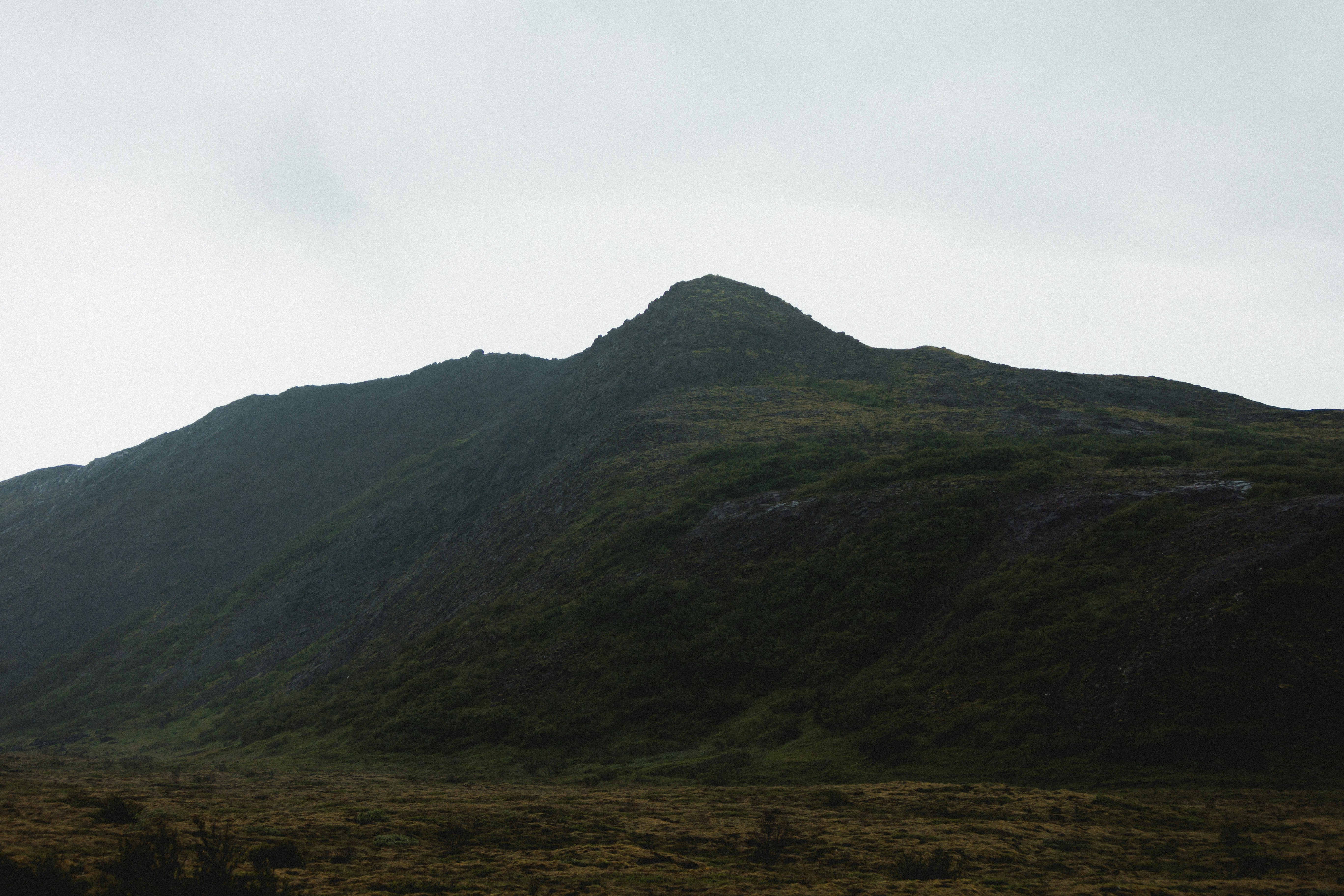 Photo by andrew_creative