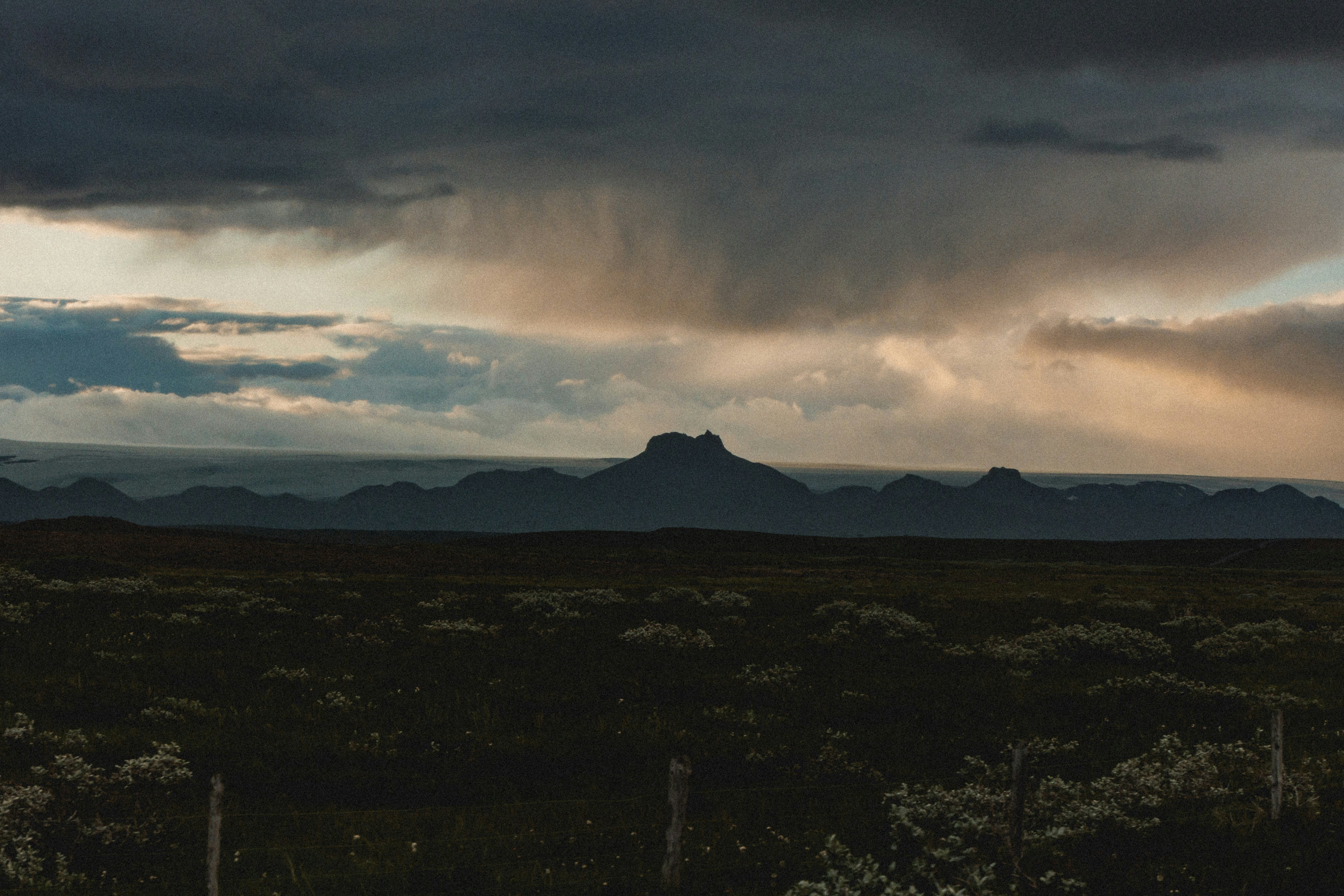 Photo by andrew_creative