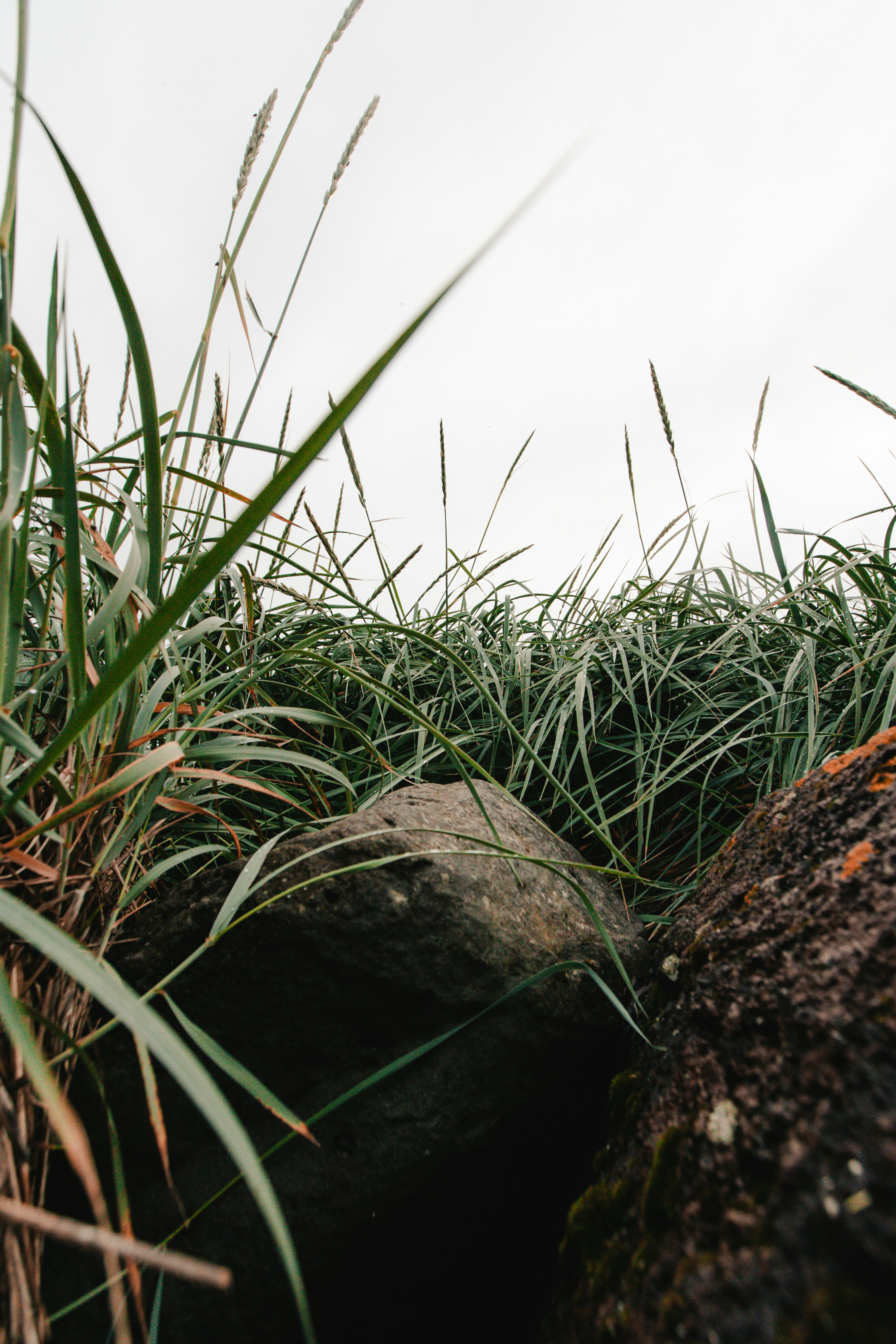 Photo by andrew_creative